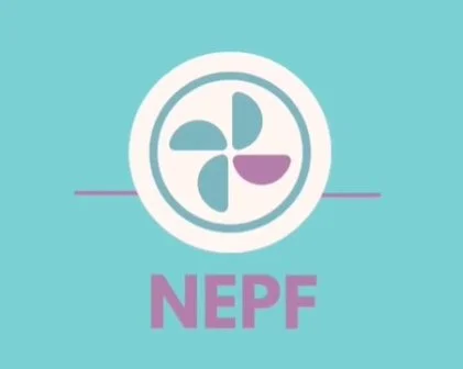 NEPF Promotes a Bridge Between Fanfiction Academic Studies and Fandom in Brazil