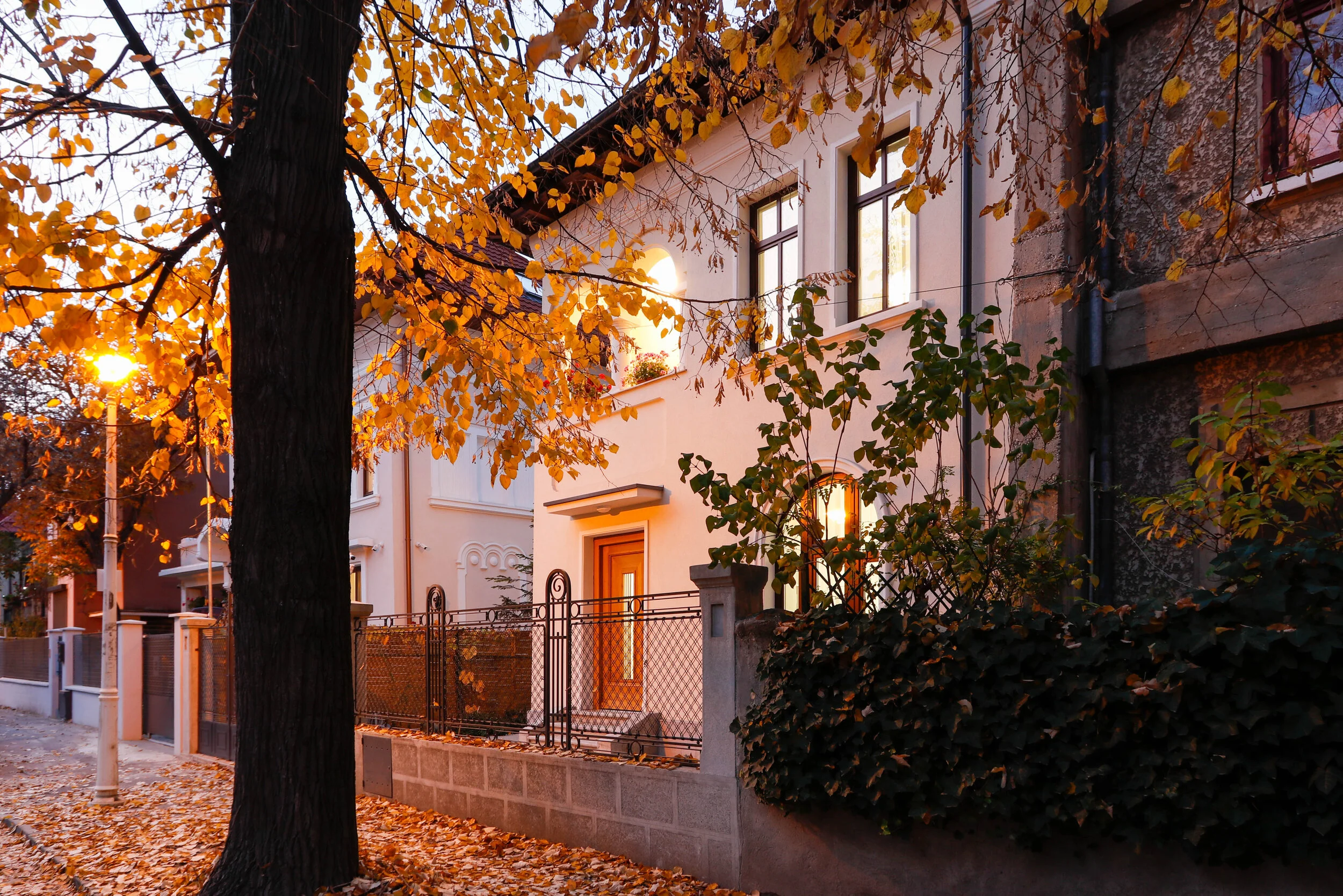 _MG_3069.jpg