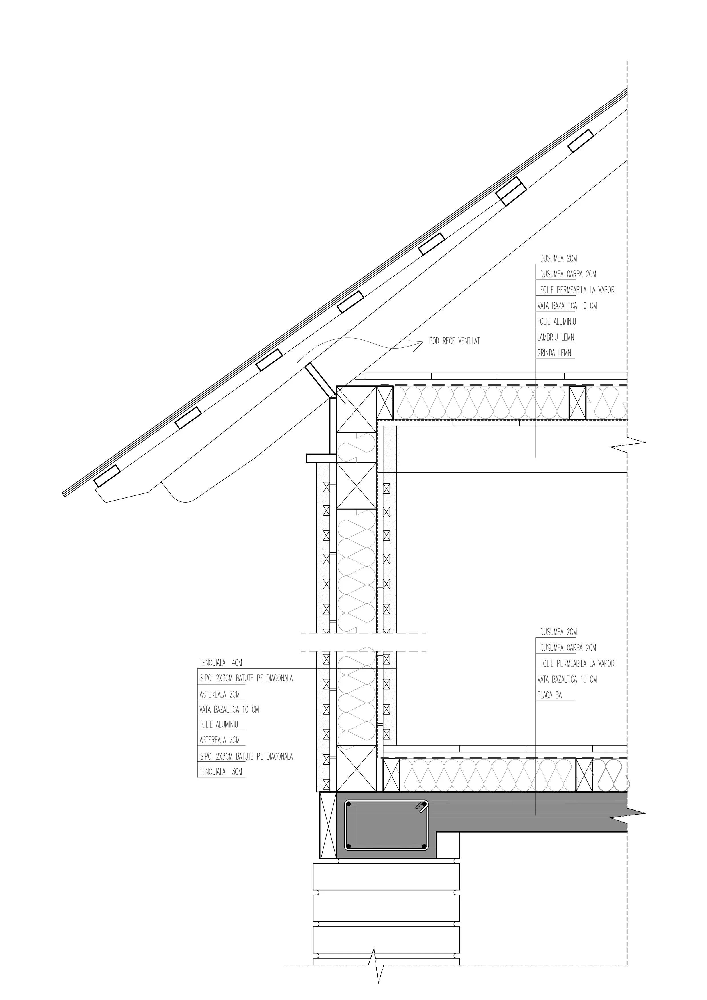 2018_BNA_RURAL_NUCSOARA_13_DETALIU DE STREASINA.jpg