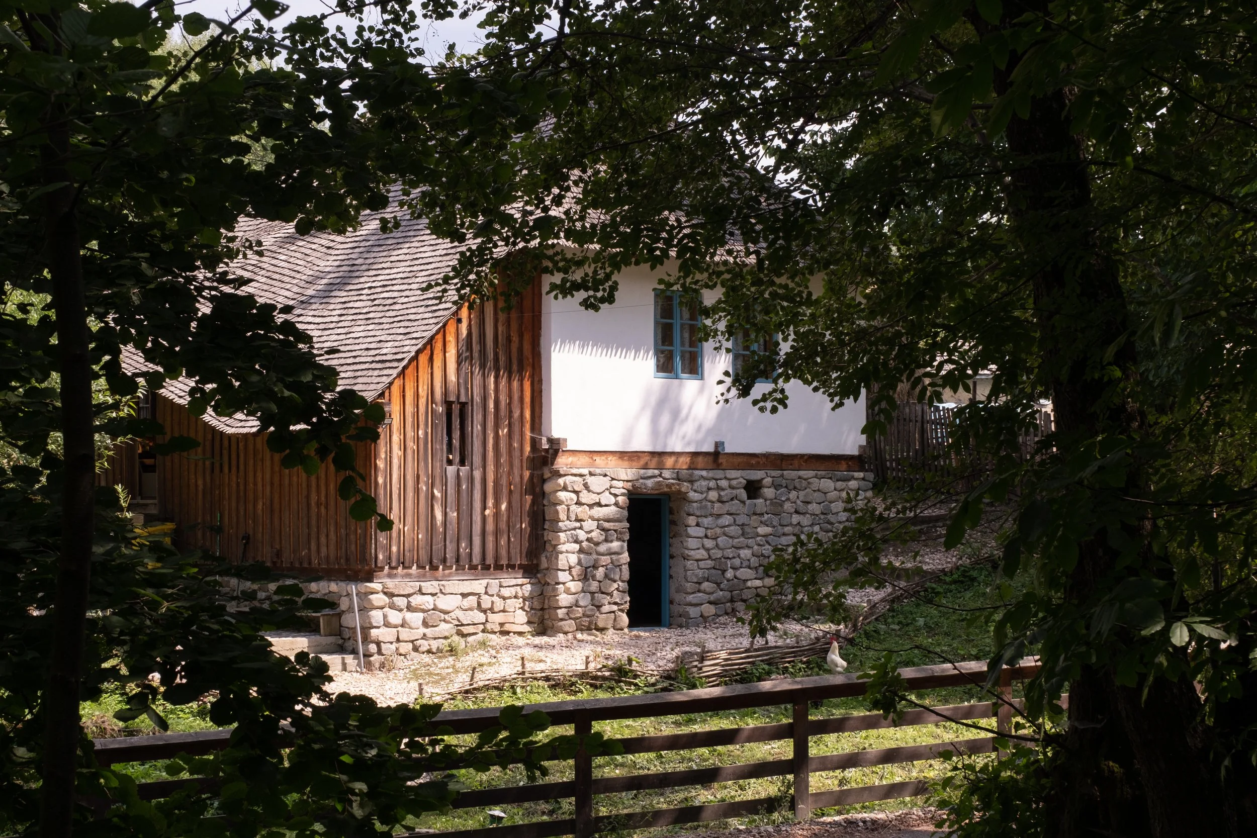 NUCȘOARA