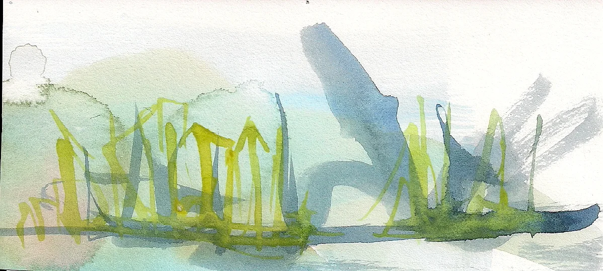  watercolor on paper. 2017.  