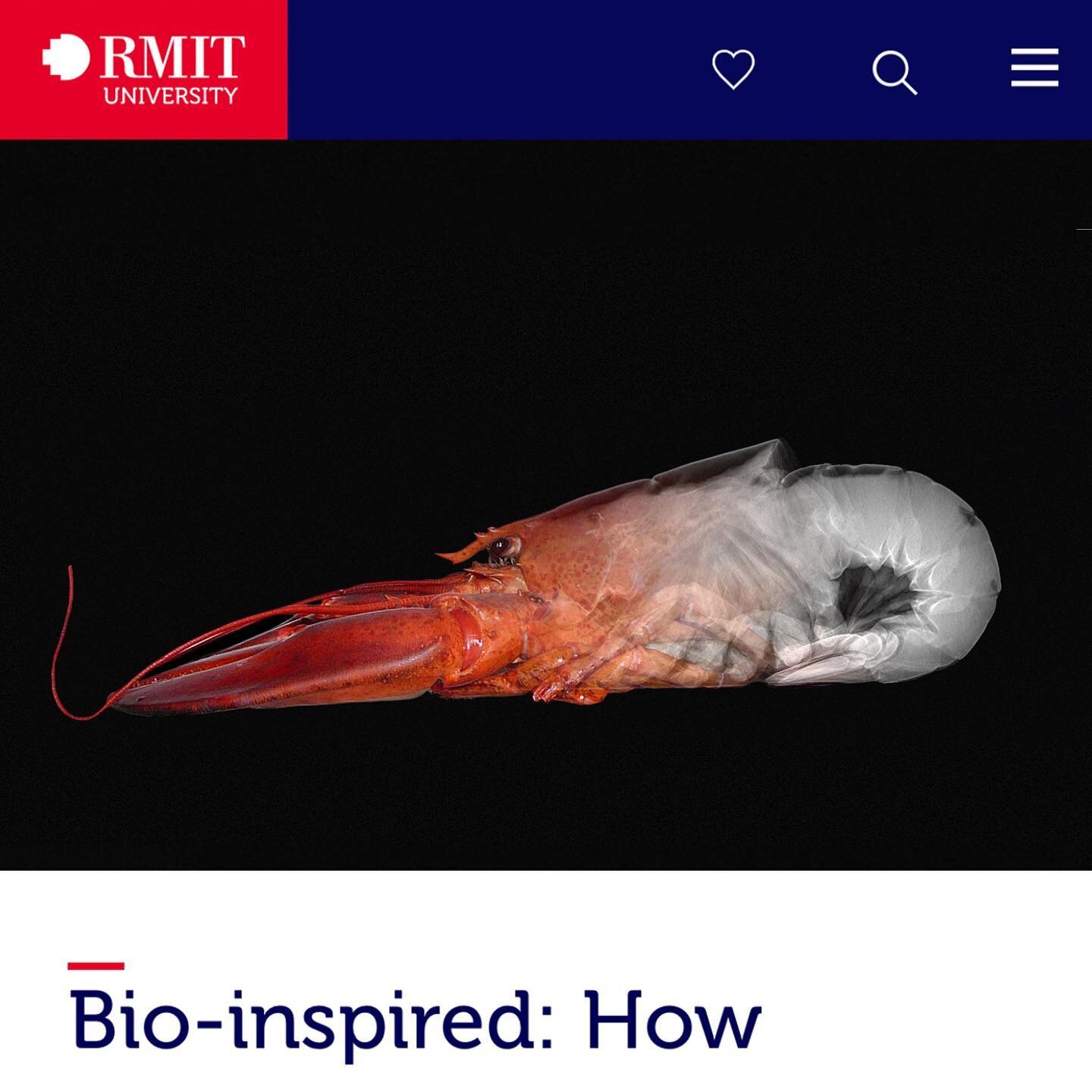 Thanks for sharing MIA (Medical Imaging in Architecture) graphics @rmituniversity #RMIT #RMITUniversity #BioInspired #Lobster #Concrete #3DPrinting #3DCP #FlorianRieser #FlorianEliasRieser