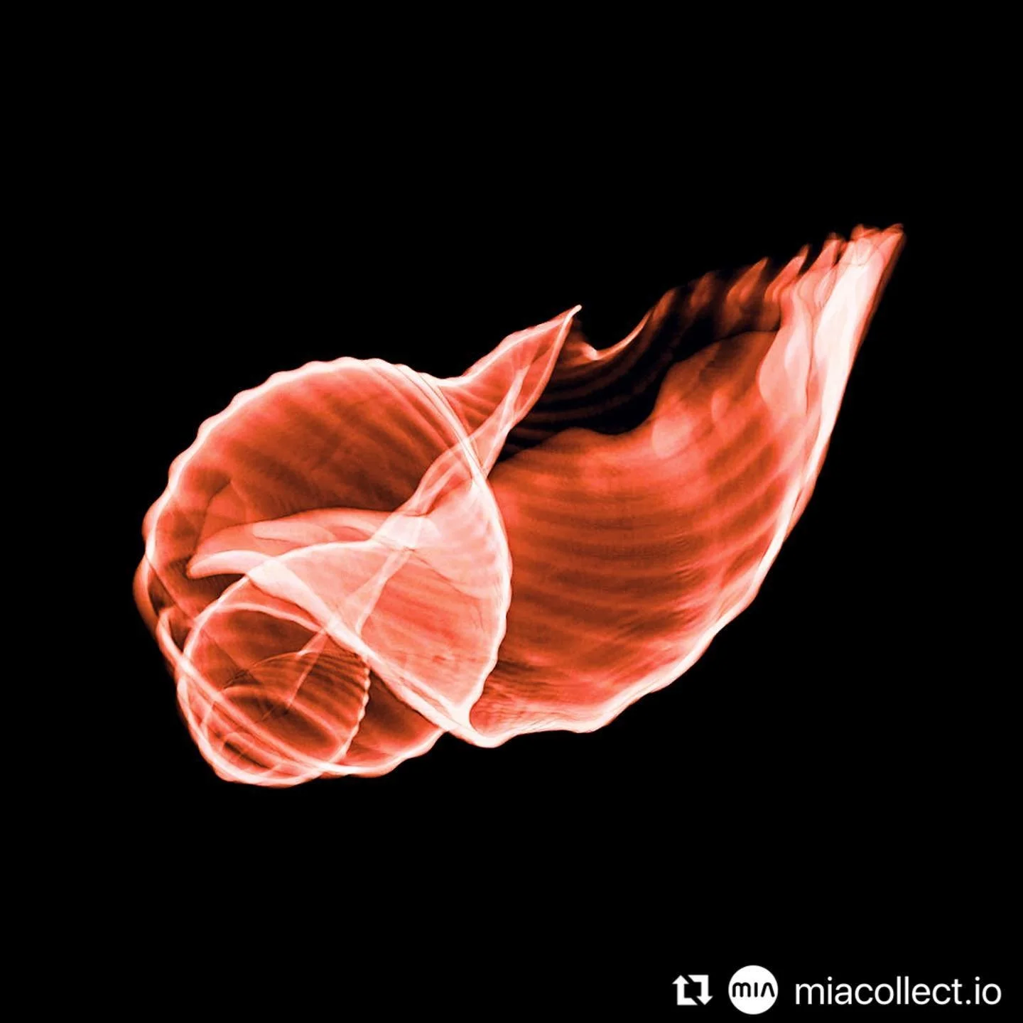 𝟭𝘀𝘁 𝗡𝗙𝗧 𝗱𝗿𝗼𝗽 @miacollect.io

MIA Advanced Visualization
Tonna Sulcosa
COLLECTION: Black Label
EDITION SIZE: 5

#nft #nftdrop #nftart #nftartwork #nftcollection #nftsstories #nftcommunity #nftartist #cryptoart #cryptoworld #blockchain #digit