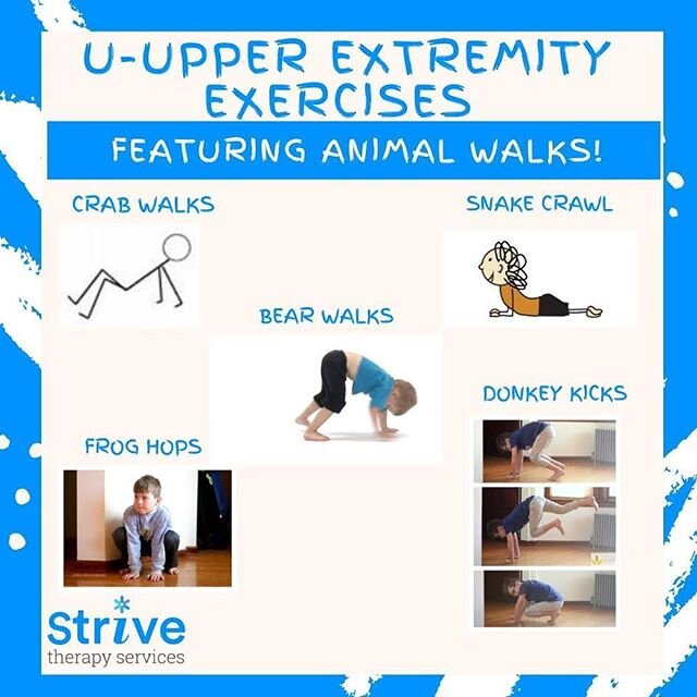 U is for upper extremity exercises! Upper extremity strength is 🔑 for handwriting endurance. Working on the shoulder muscle and flexibility will help to improve the coordination required in handwriting. Today&rsquo;s activity is animal walks! This a