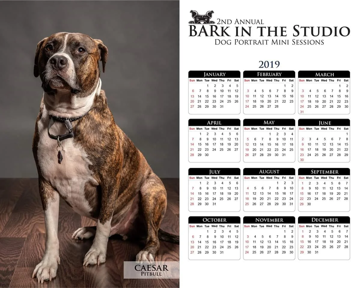 This is an example of the 8x10 2019 Calendar Print that everyone will get with their dog’s session this year.