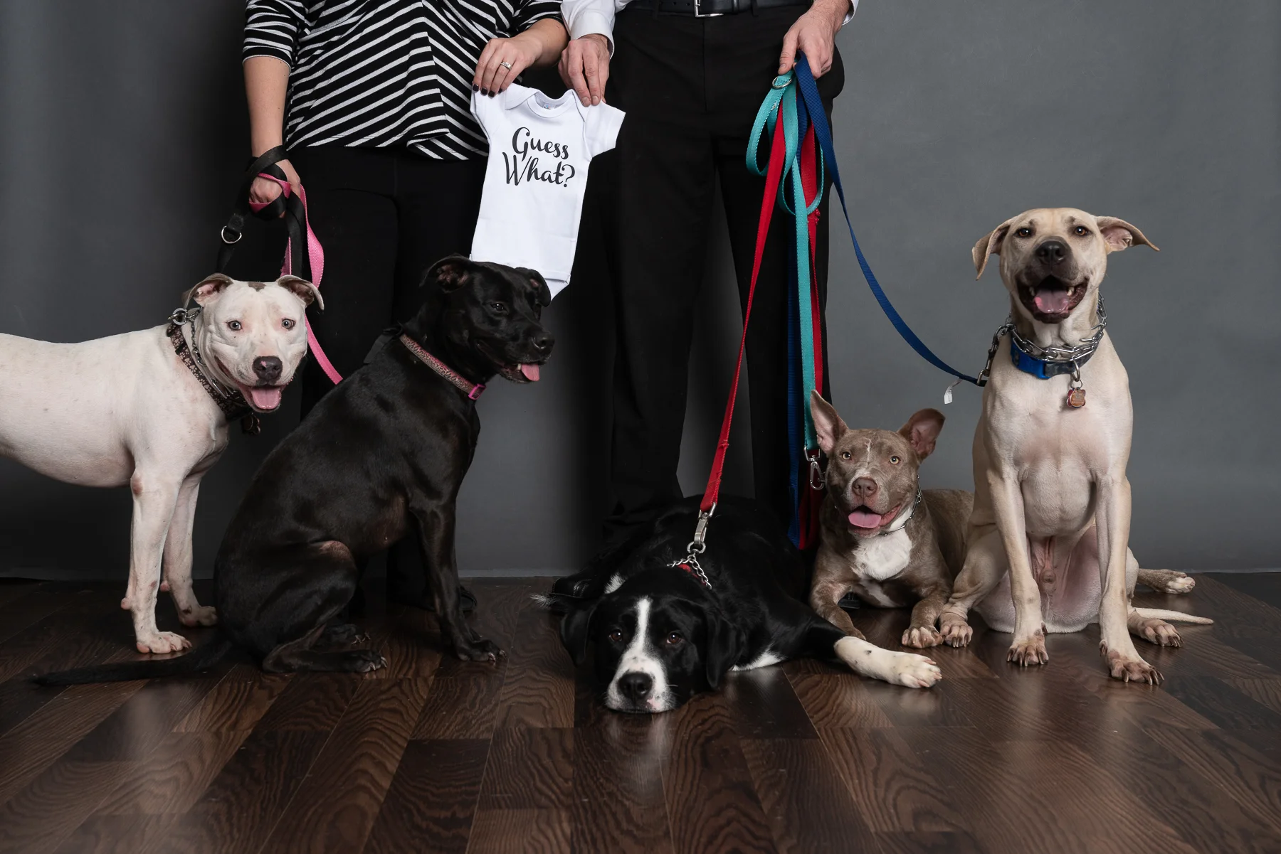 Pregnancy announcement photo session for our of our 2018 Brides & Grooms.