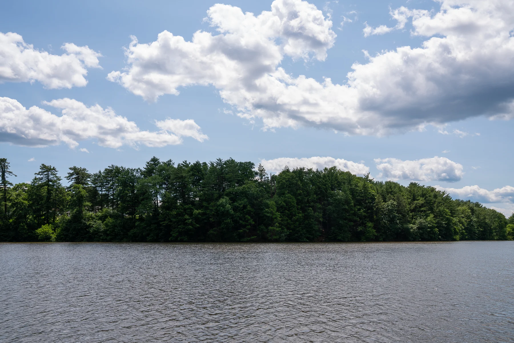 The beautiful view during their ceremony at Sweet Arrow Lake County Park, Pine Grove, PA