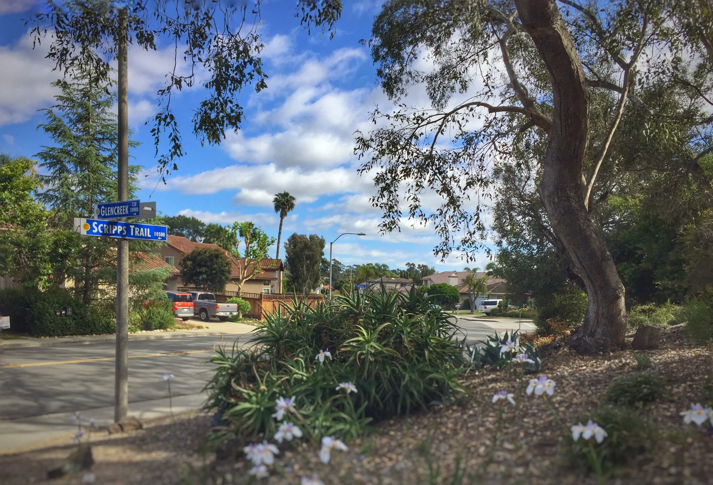 File May 30, 5 42 18 PM.jpeg