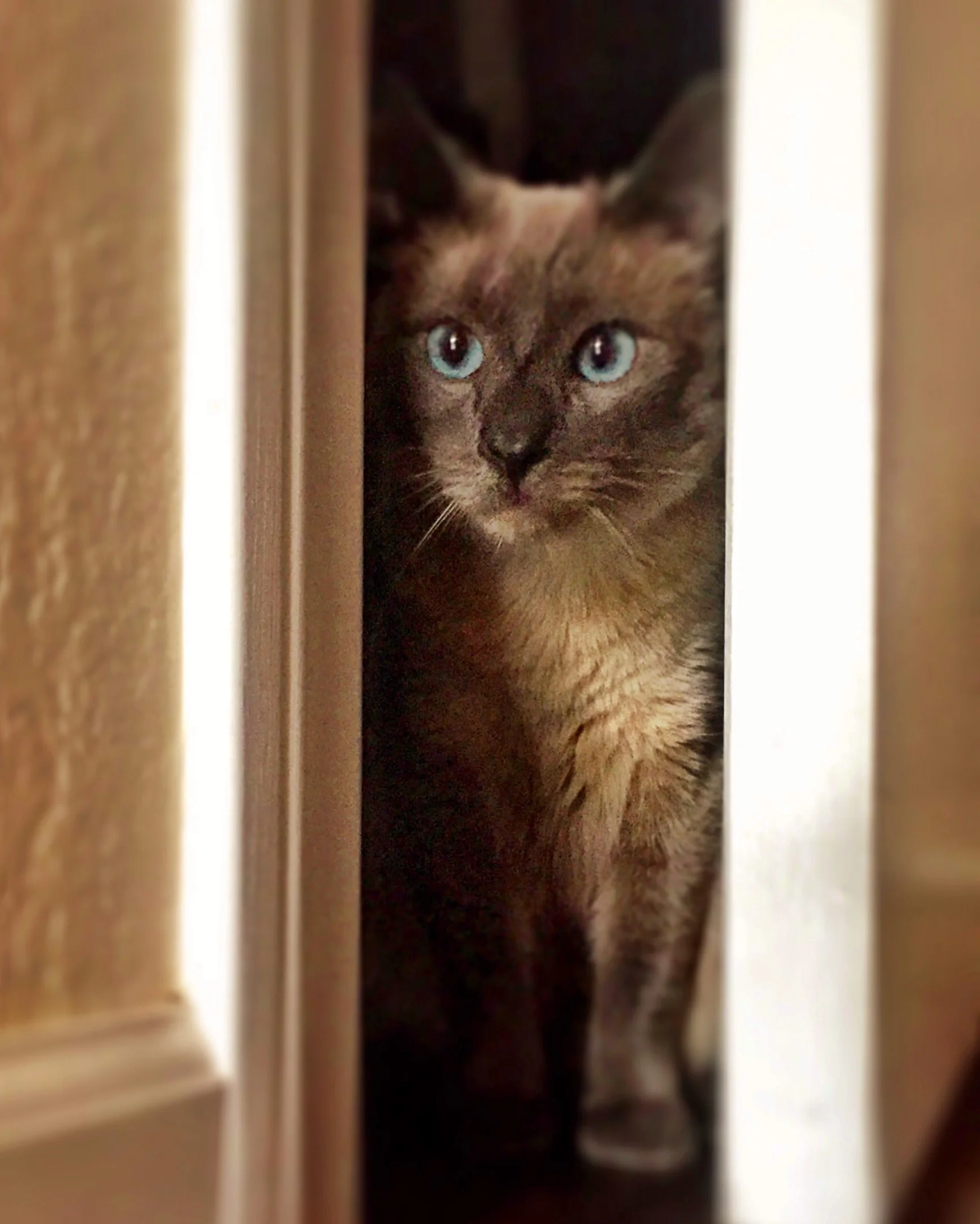 File May 30, 5 42 03 PM.jpeg