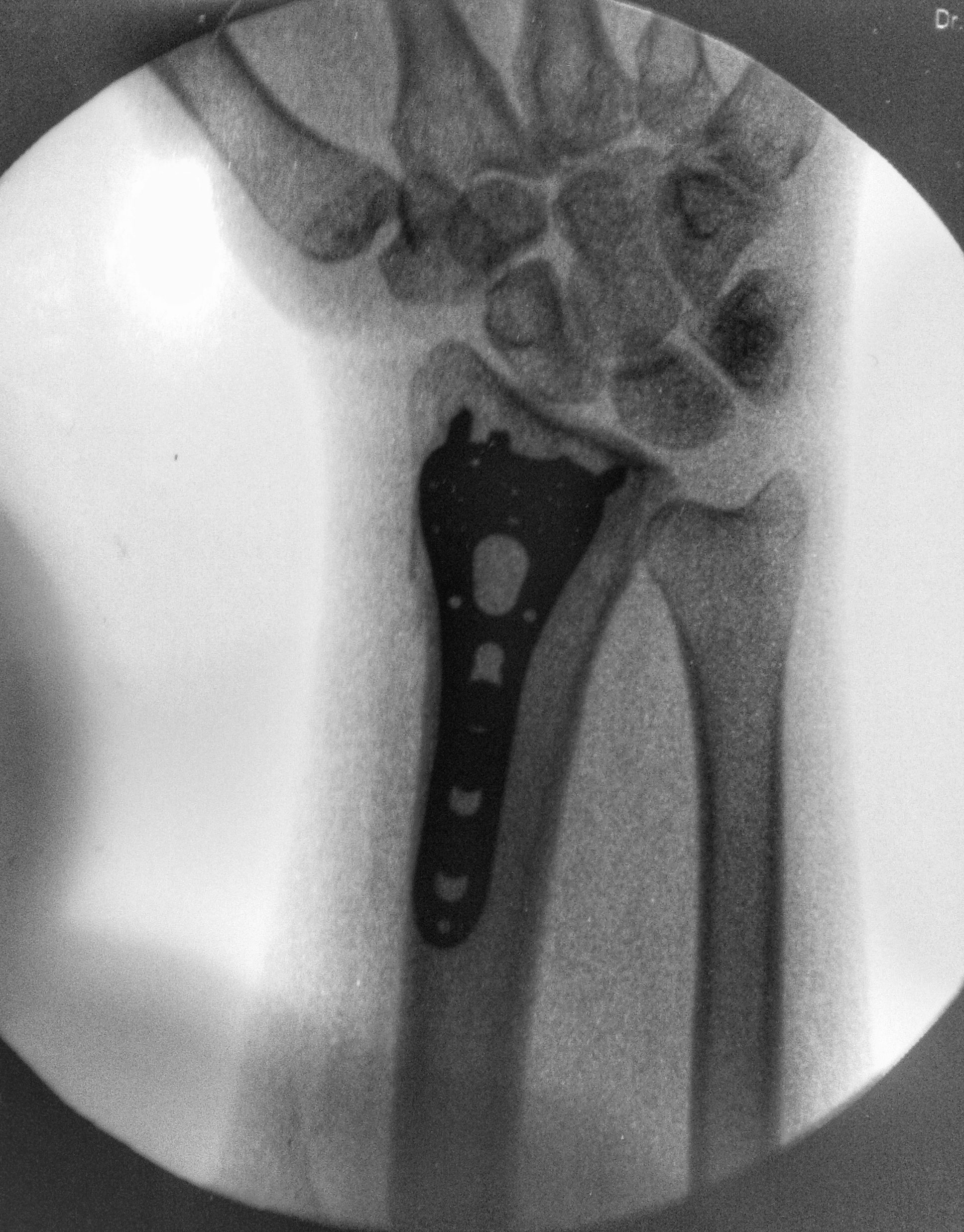 File Jun 01, 3 02 22 PM.jpeg