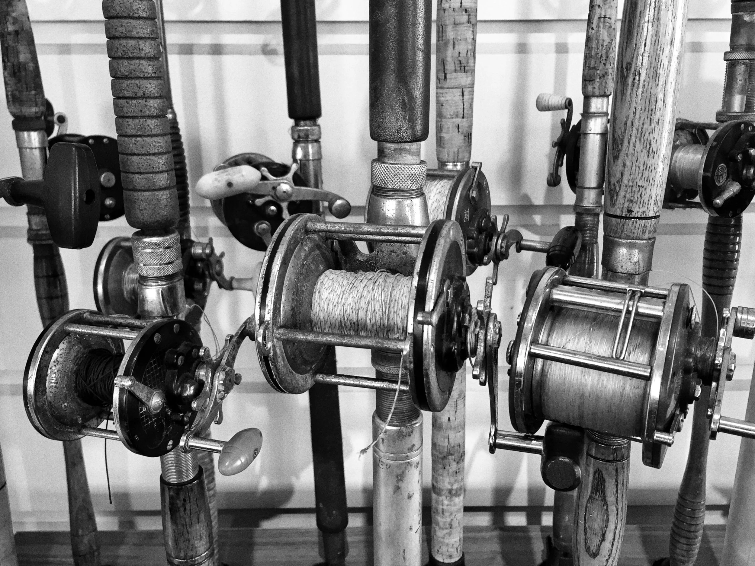 File Jun 19, 11 44 55 AM.jpeg