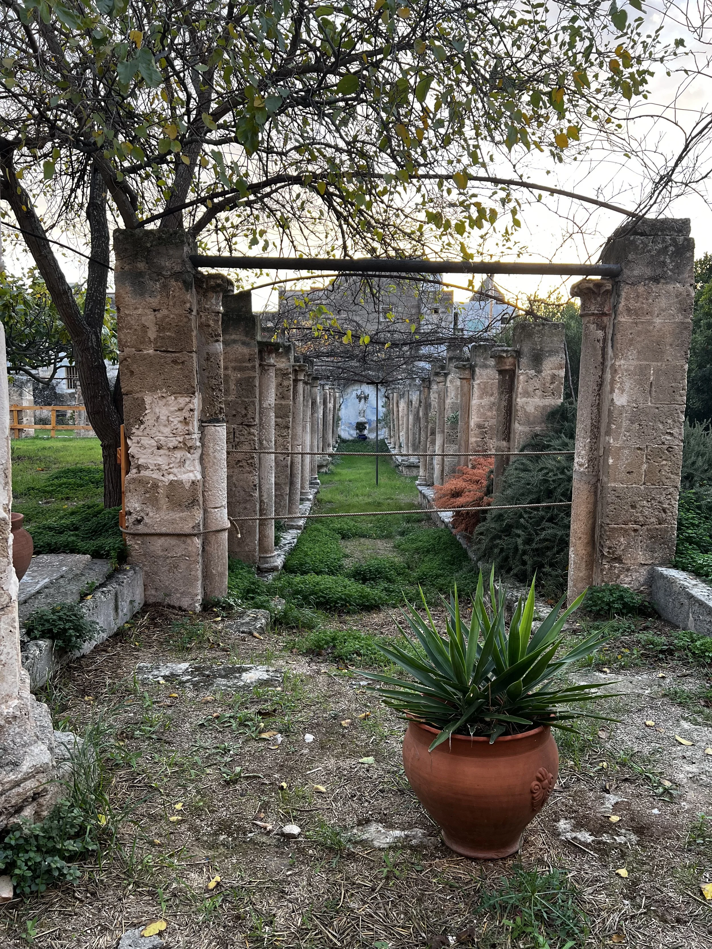 grottaglie inside garden .jpeg