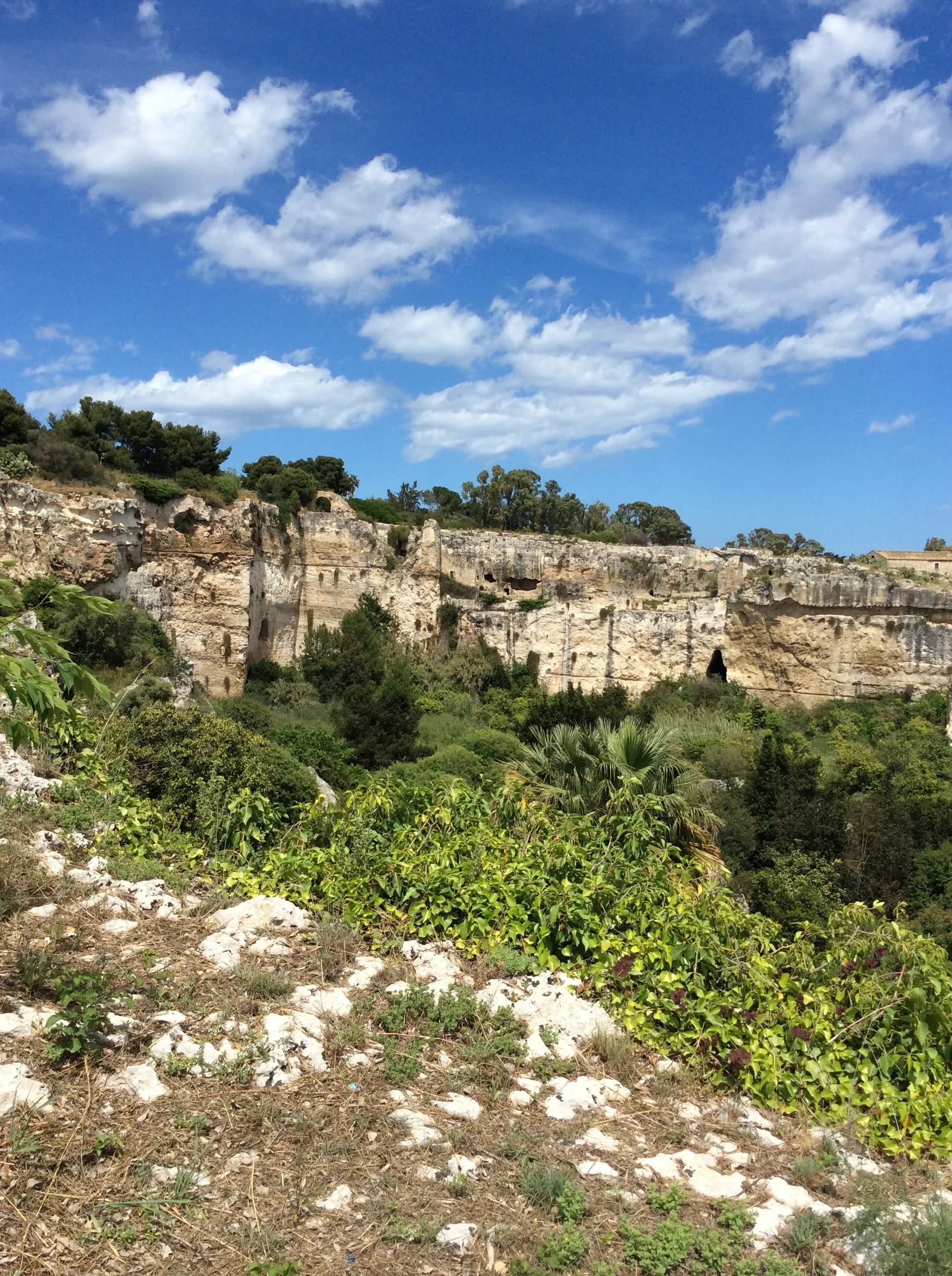 IMG_0746.jpeg