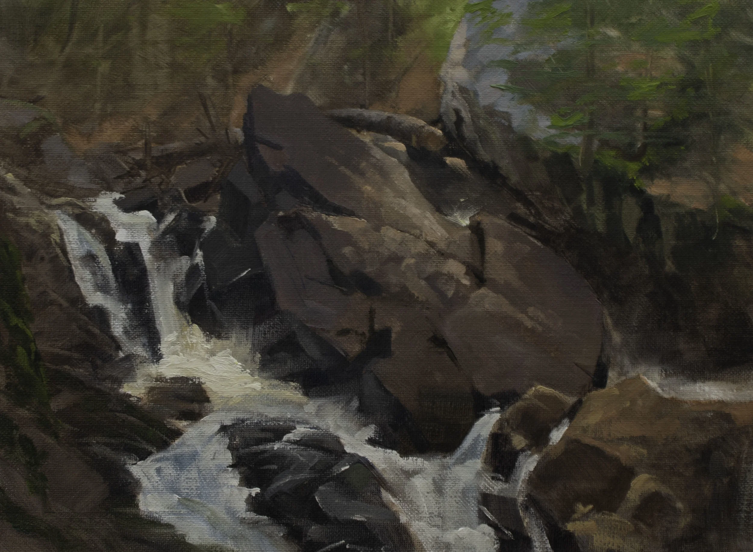 Bear's Den 01 - 15"x11" - $220