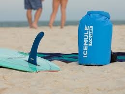 icemule_beach.jpeg