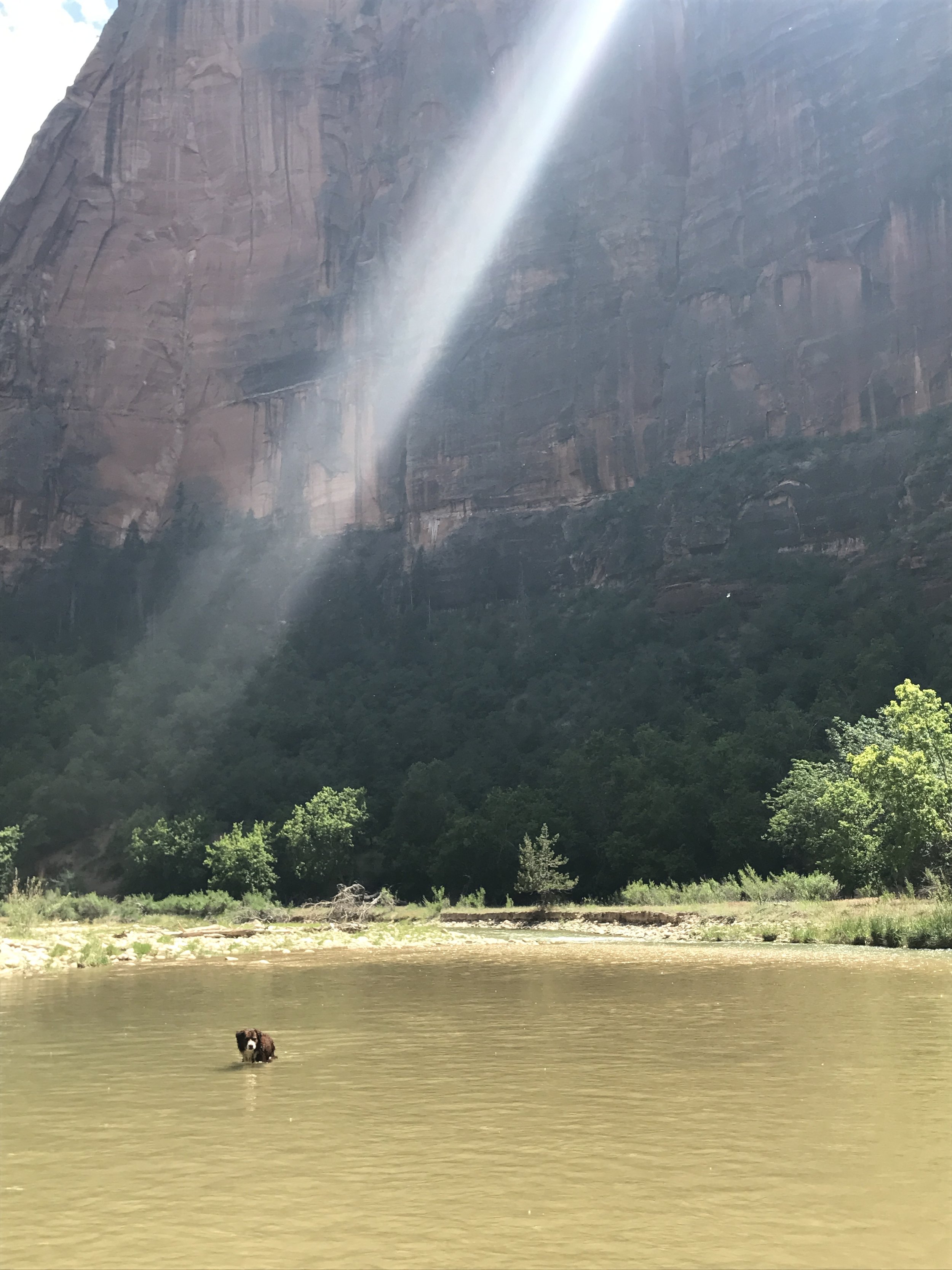 ZION_Zealand.JPG