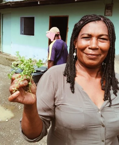 DAISY PALACIOS: Traditional midwife and medicinal plants expert Partera tradicional y experta en plantas medicinales