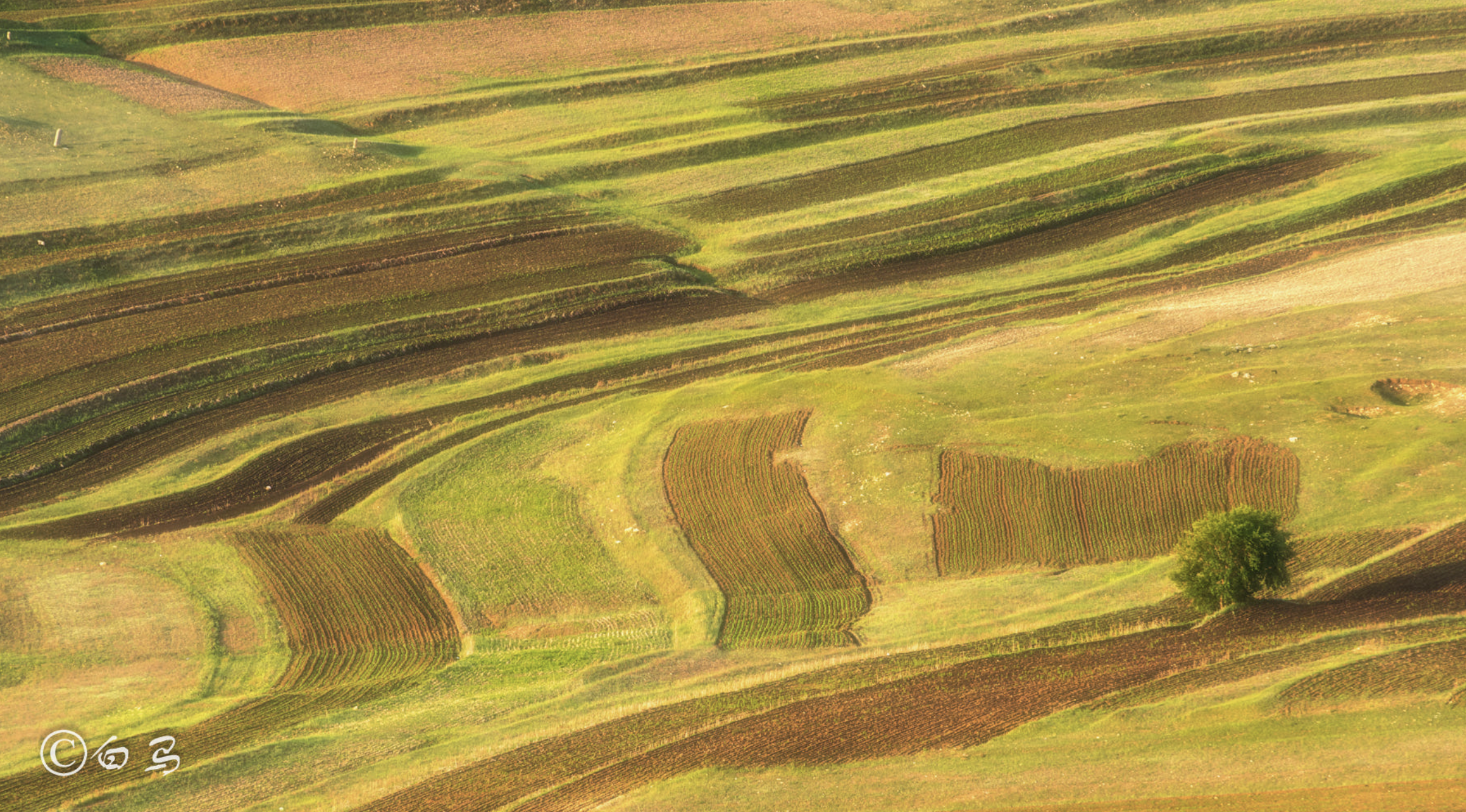 Screen Shot 2017-07-06 at 3.46.06 PM.png