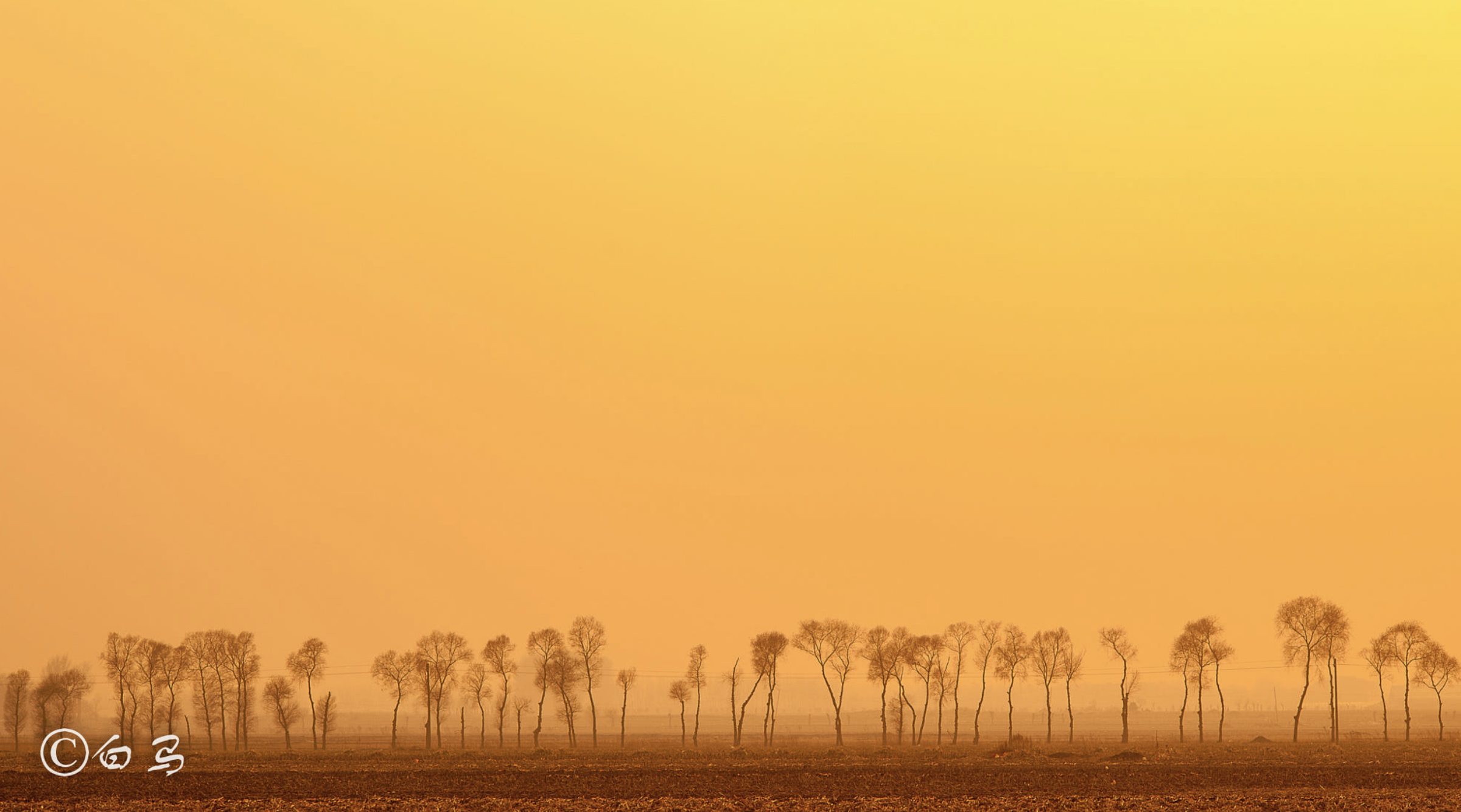 Screen Shot 2017-07-06 at 3.45.36 PM.png