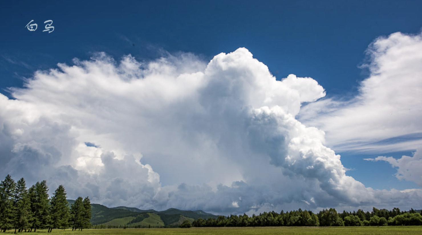 Screen Shot 2017-07-06 at 3.44.56 PM.png