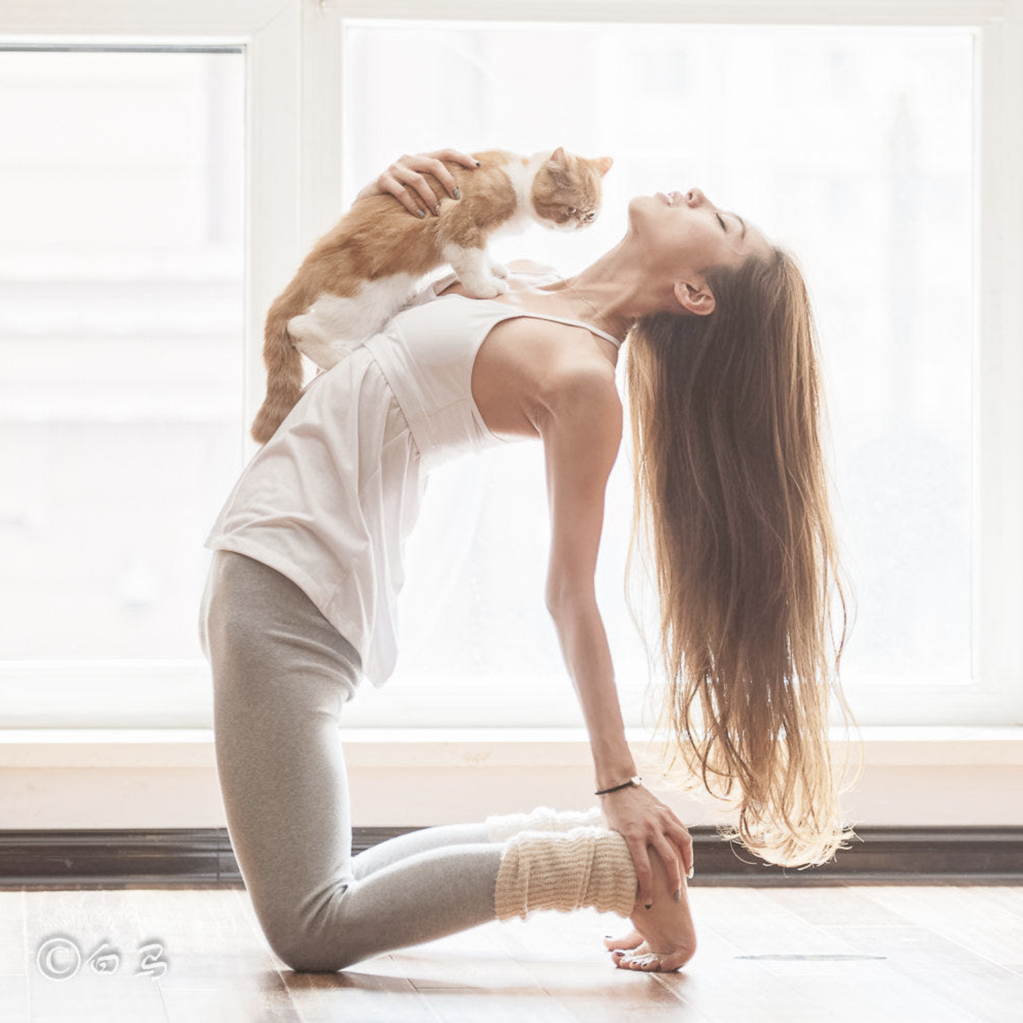 Screen Shot 2017-07-06 at 3.41.53 PM.png