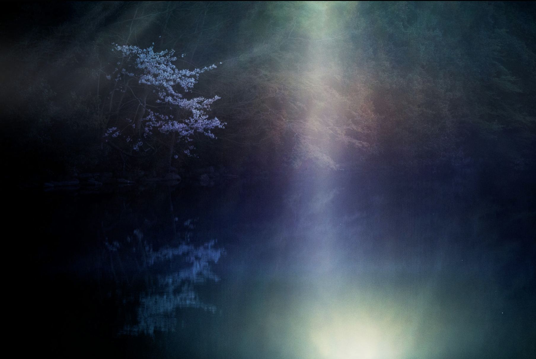 Screen Shot 2017-07-06 at 2.18.55 PM.png