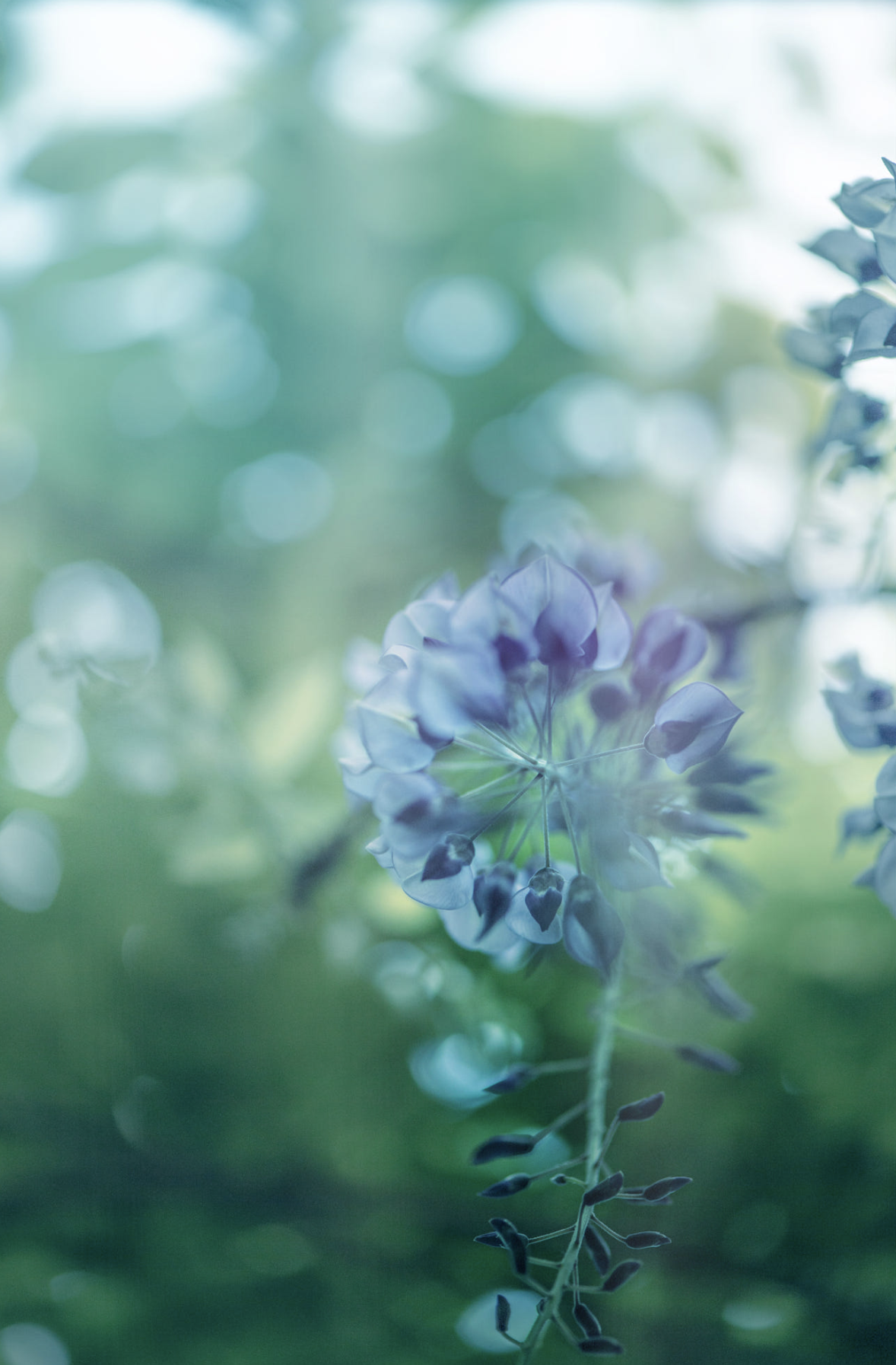 Screen Shot 2017-07-06 at 2.19.20 PM.png