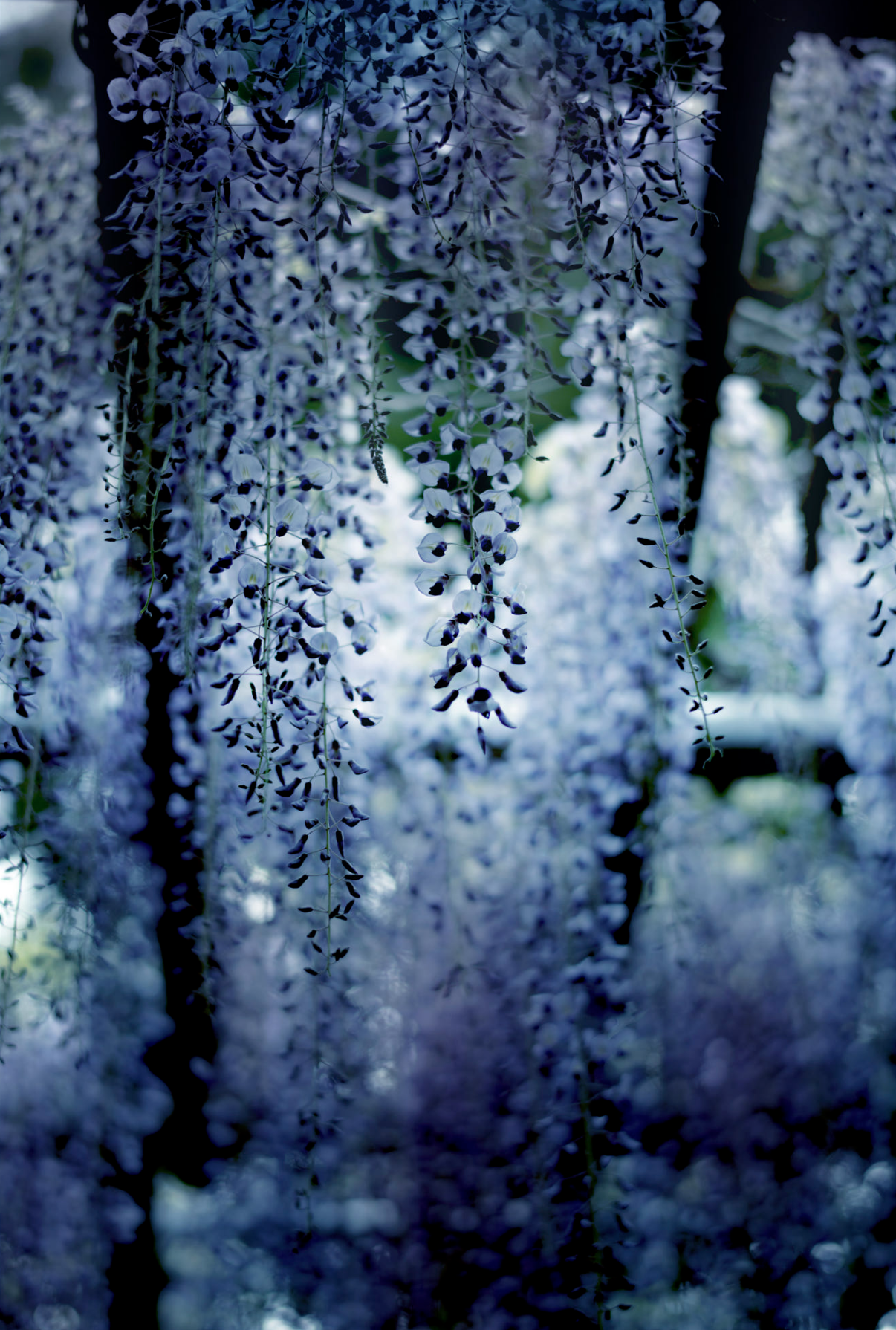 Screen Shot 2017-07-06 at 2.20.04 PM.png