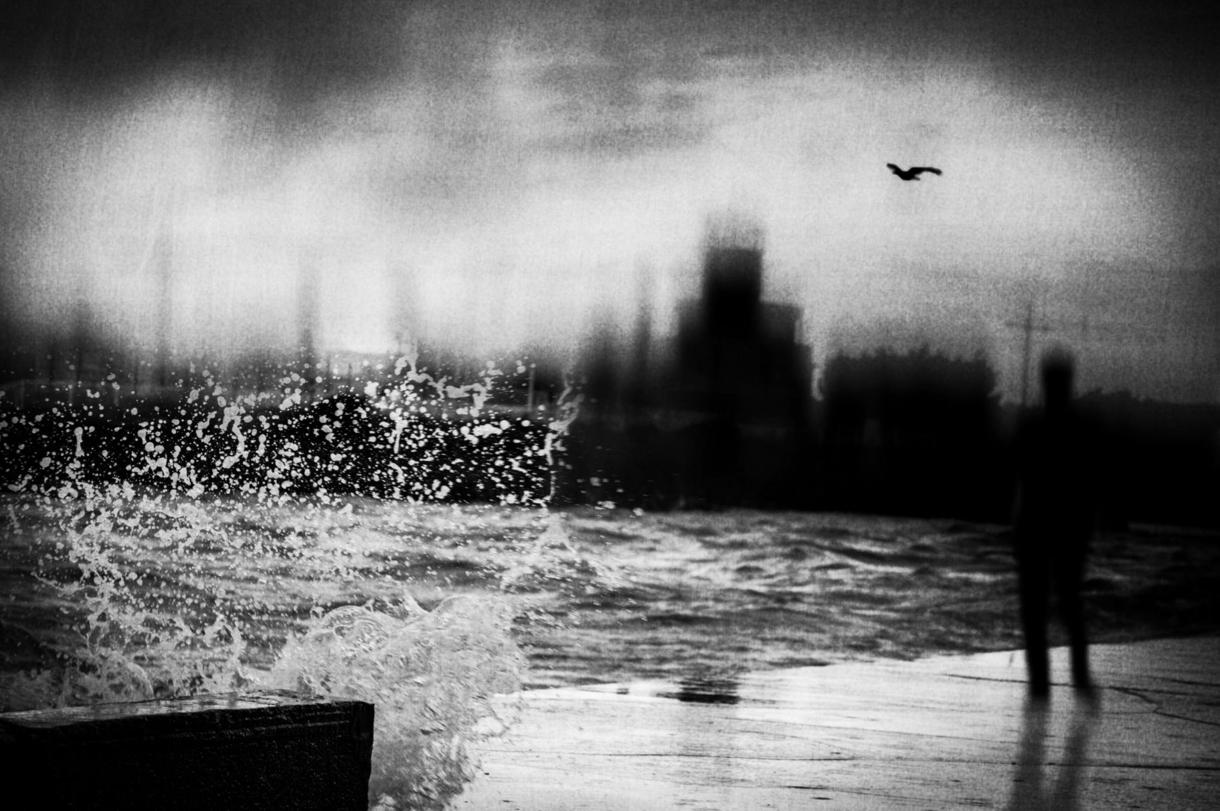 Screen Shot 2017-07-06 at 11.19.24 AM.png