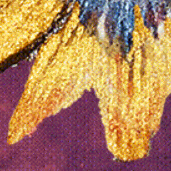 Smashing Pumpkins Chocolate-1080x1080-V2-B-UPDATED.gif