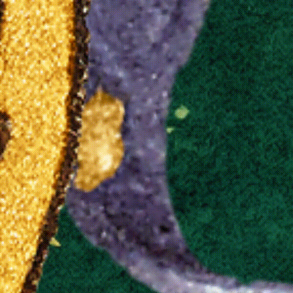 Smashing Pumpkins Chocolate-1080x1080-V2-C-UPDATED.gif