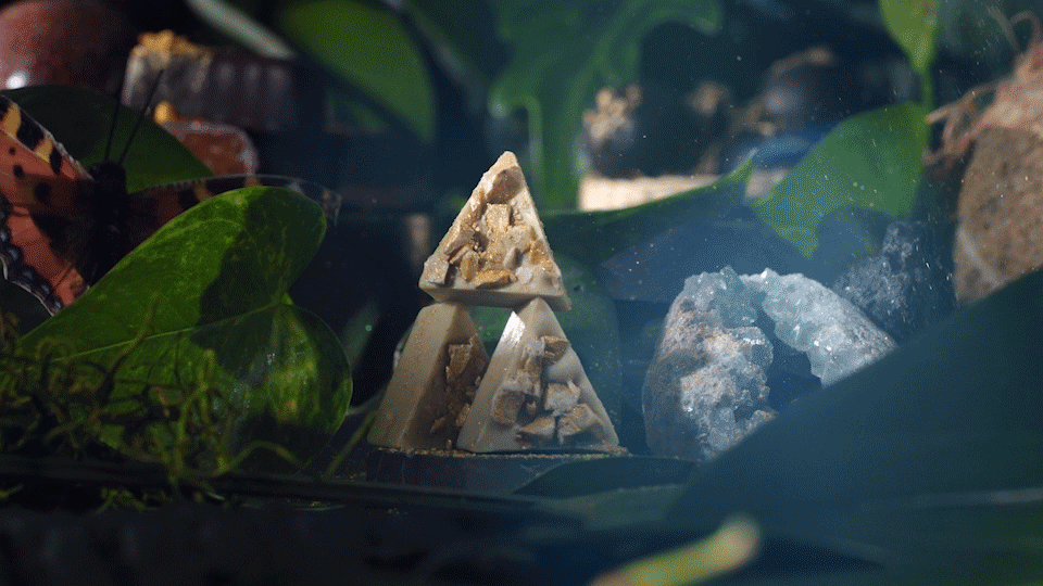 Vosges-AdventCalendar-30-16x9-01 (1).gif