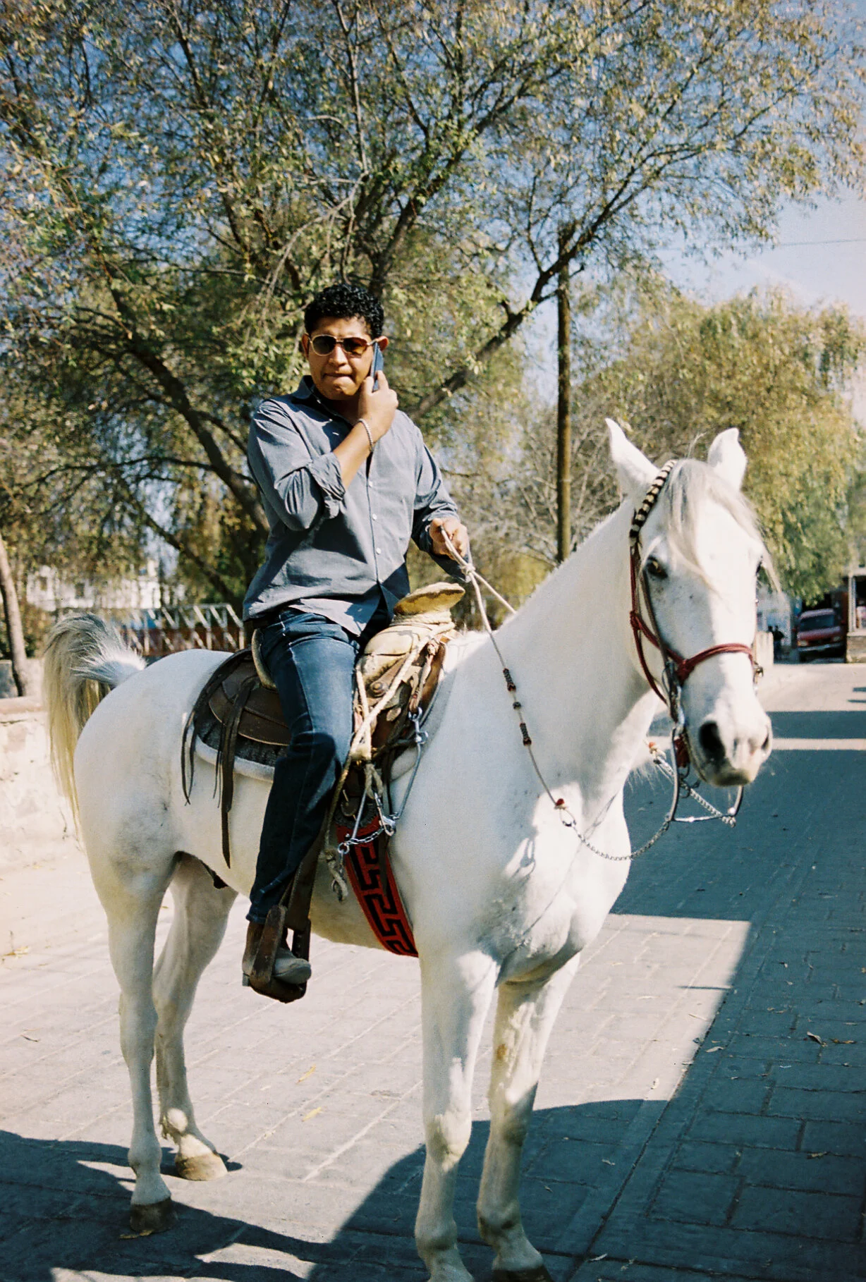 pilgrim on horse.jpg