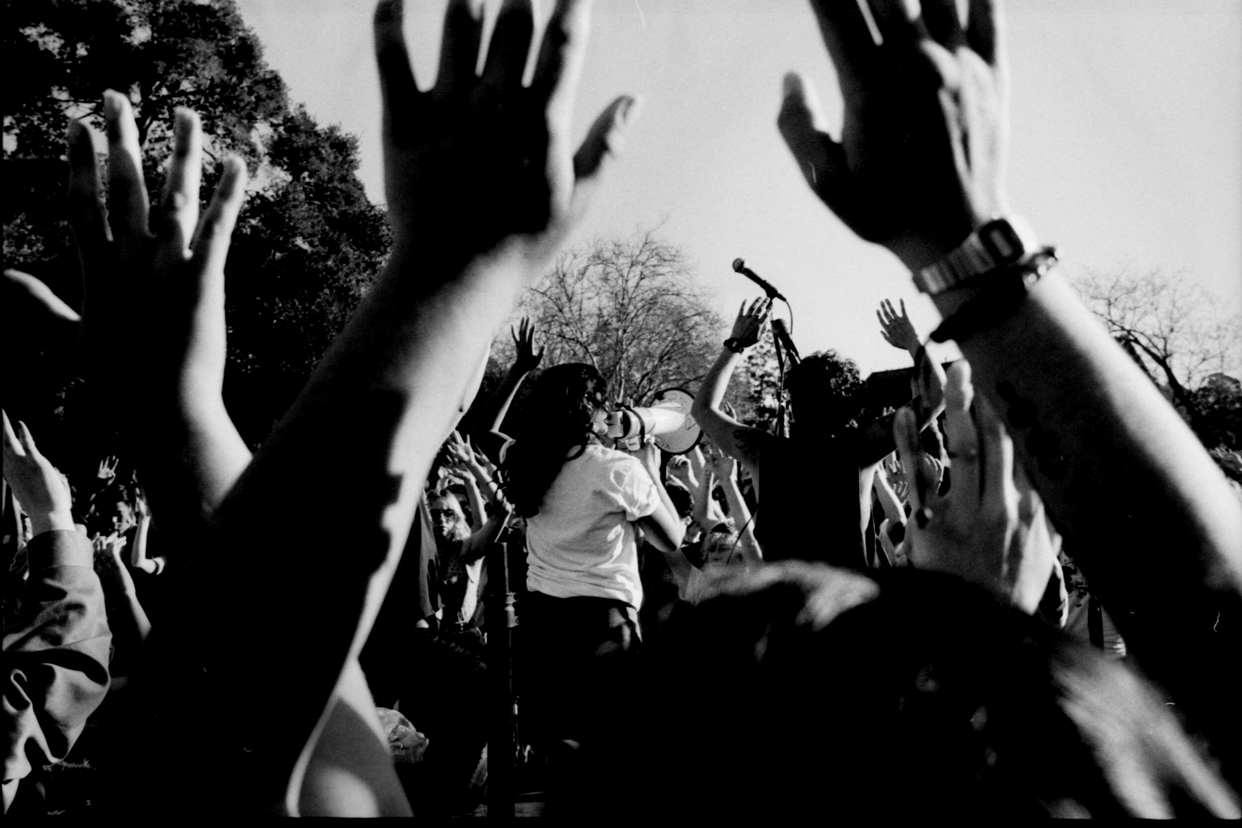 hands up 2.jpg