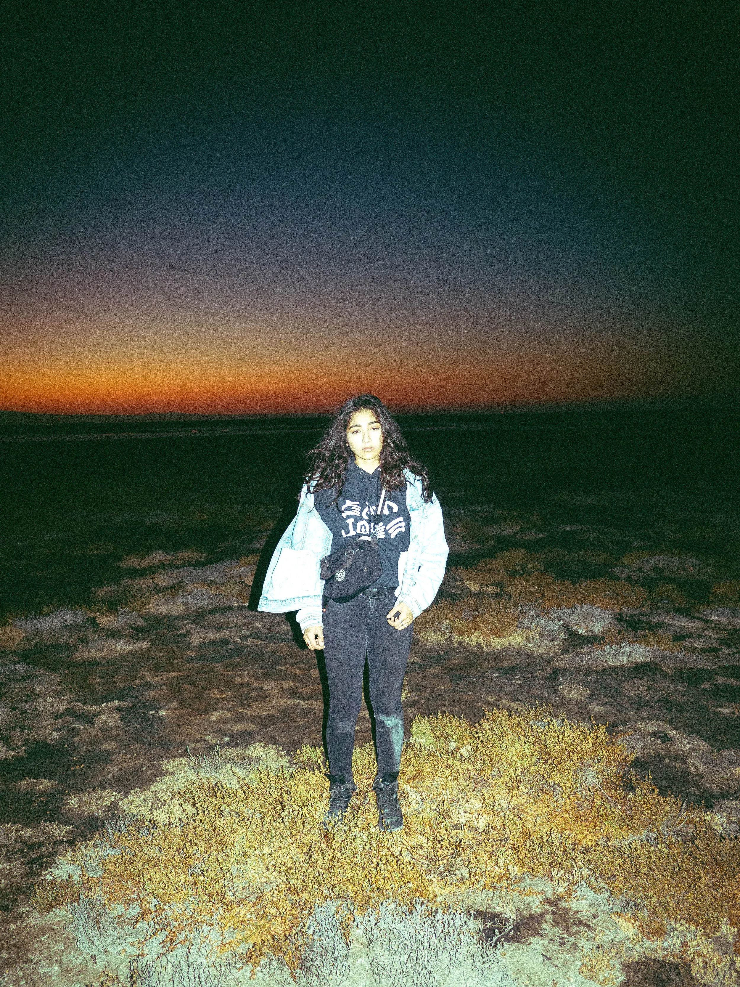 dima alviso-6.jpg