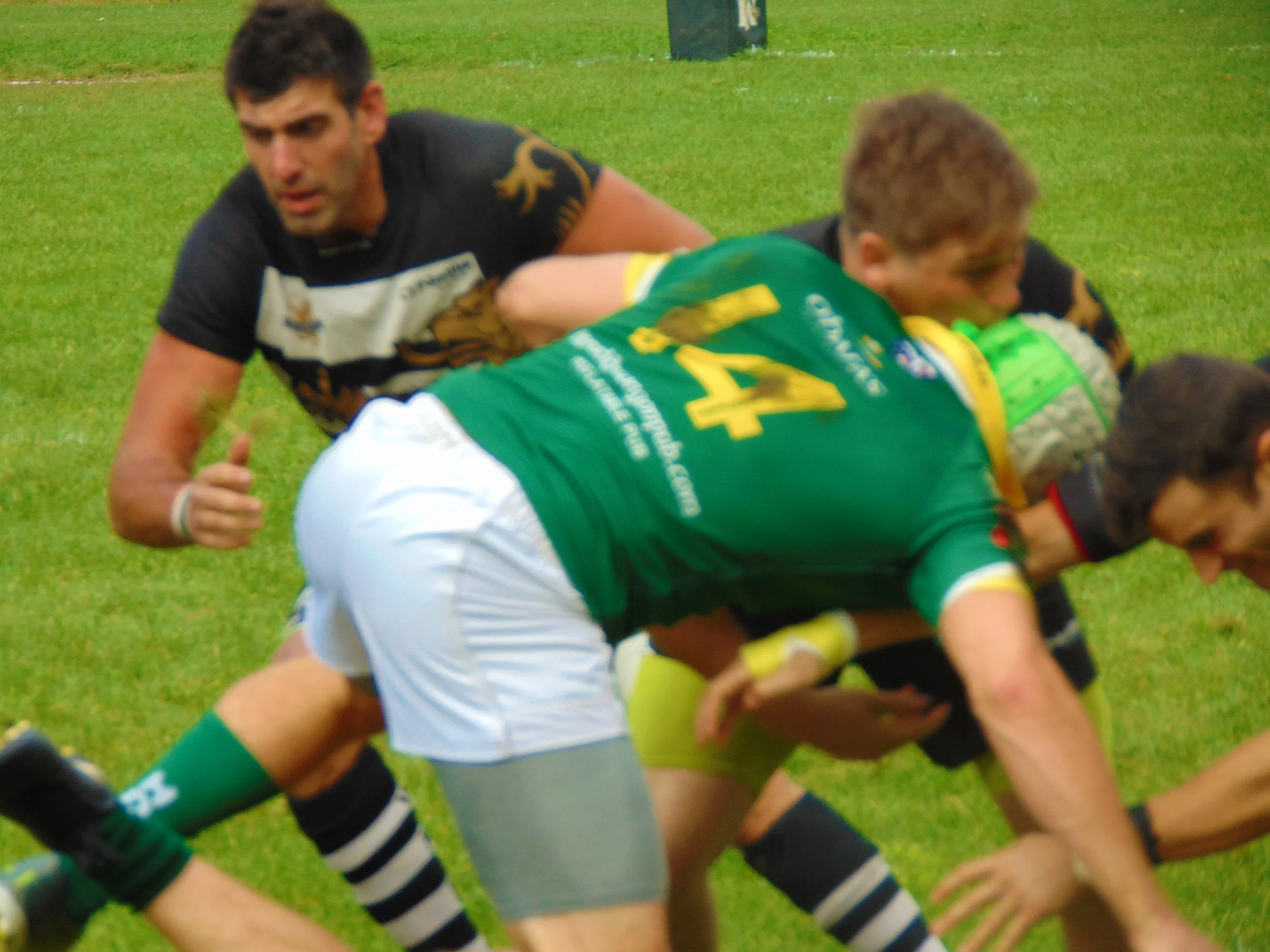 DSC04852.JPG