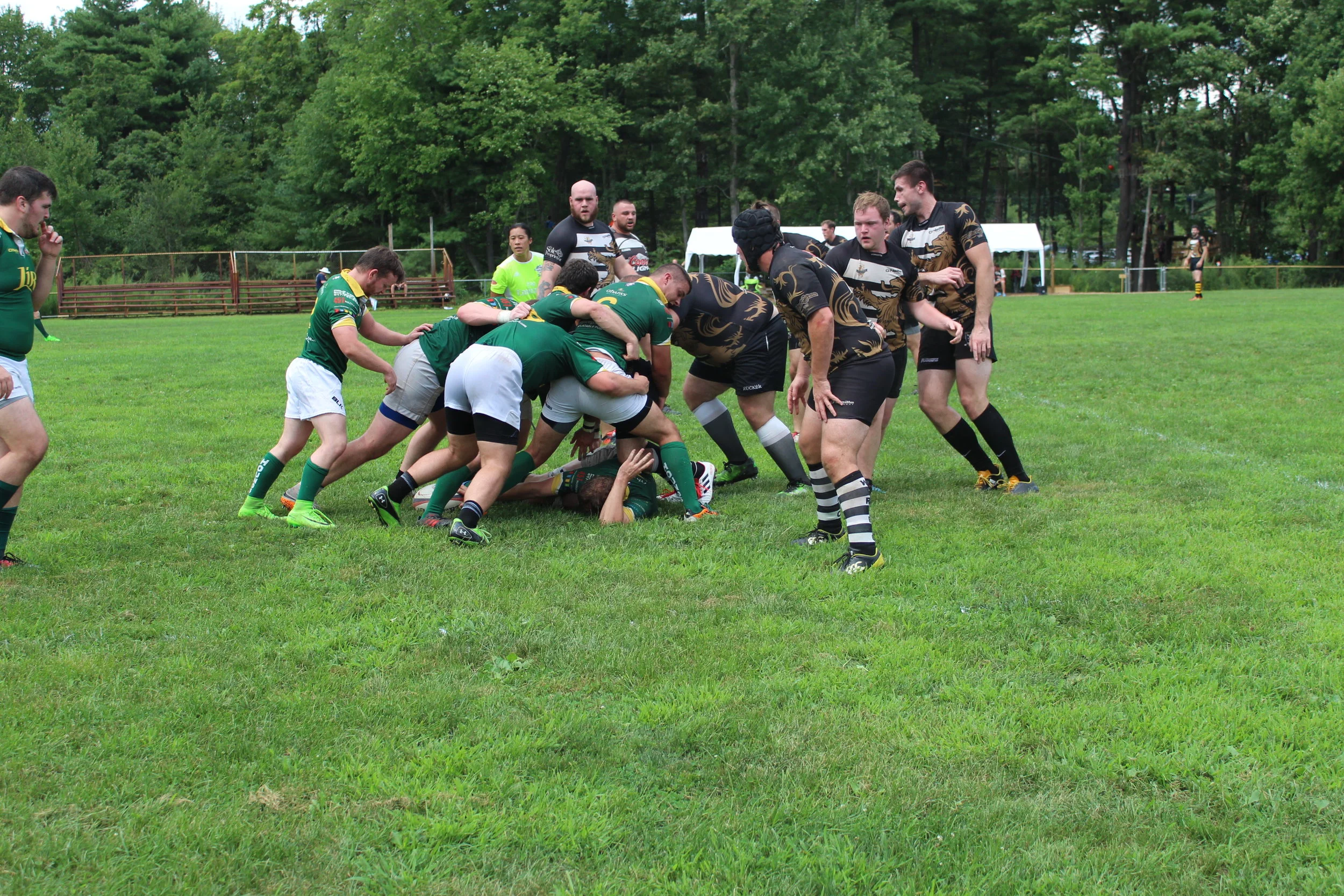 IMG_1522.JPG