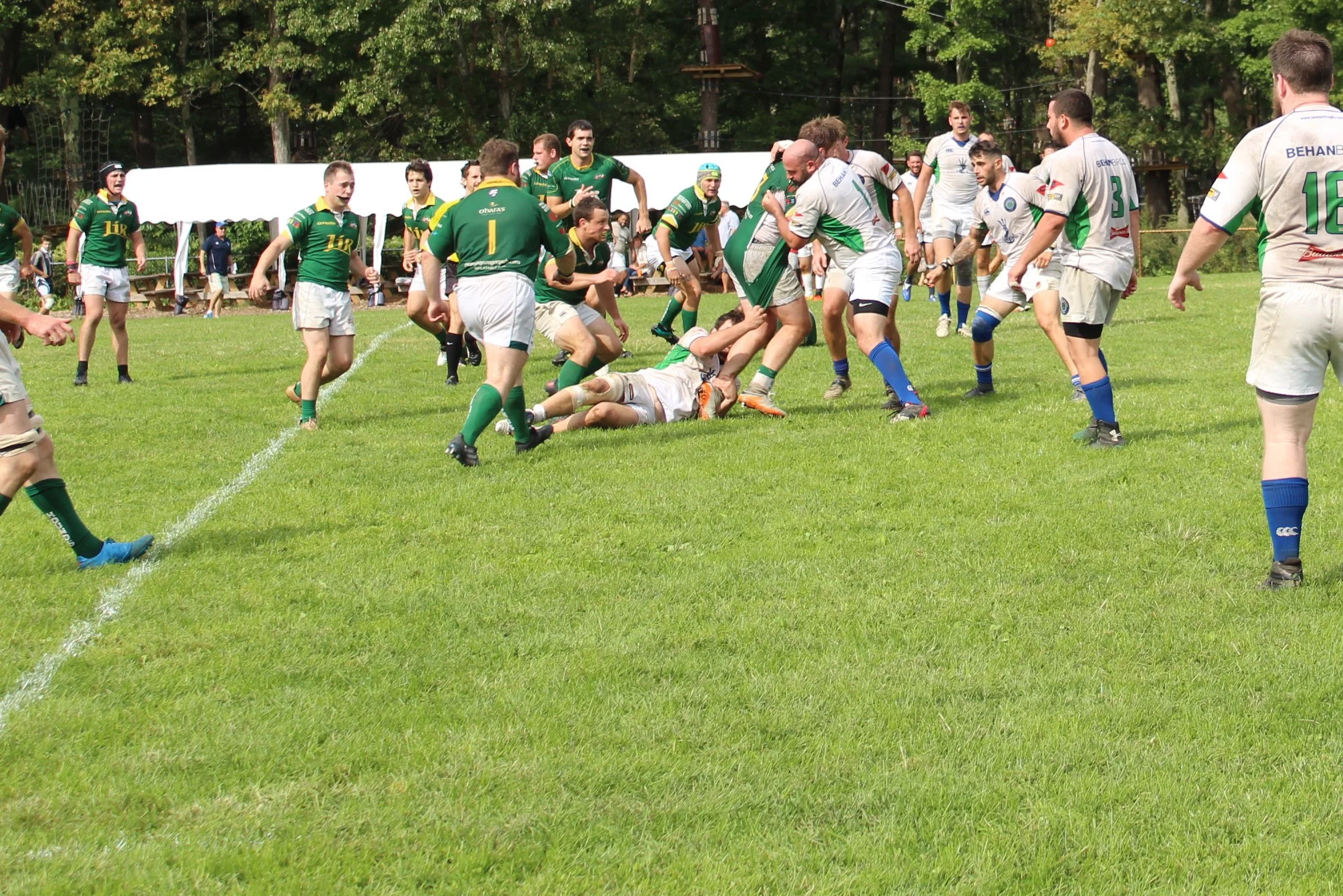 IMG_2360.JPG