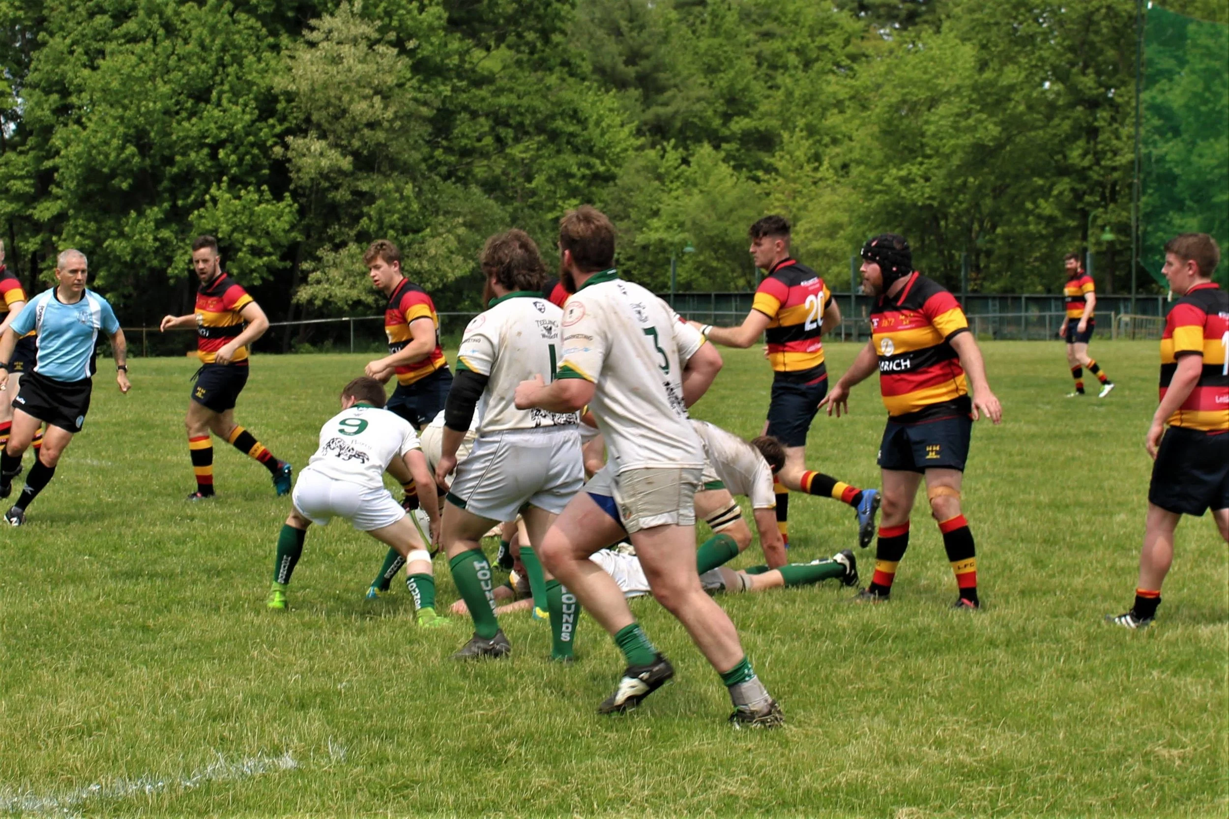 IMG_3965.jpg