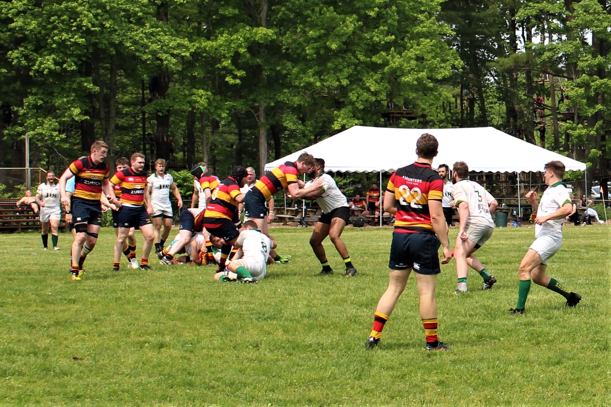 IMG_3992.jpg