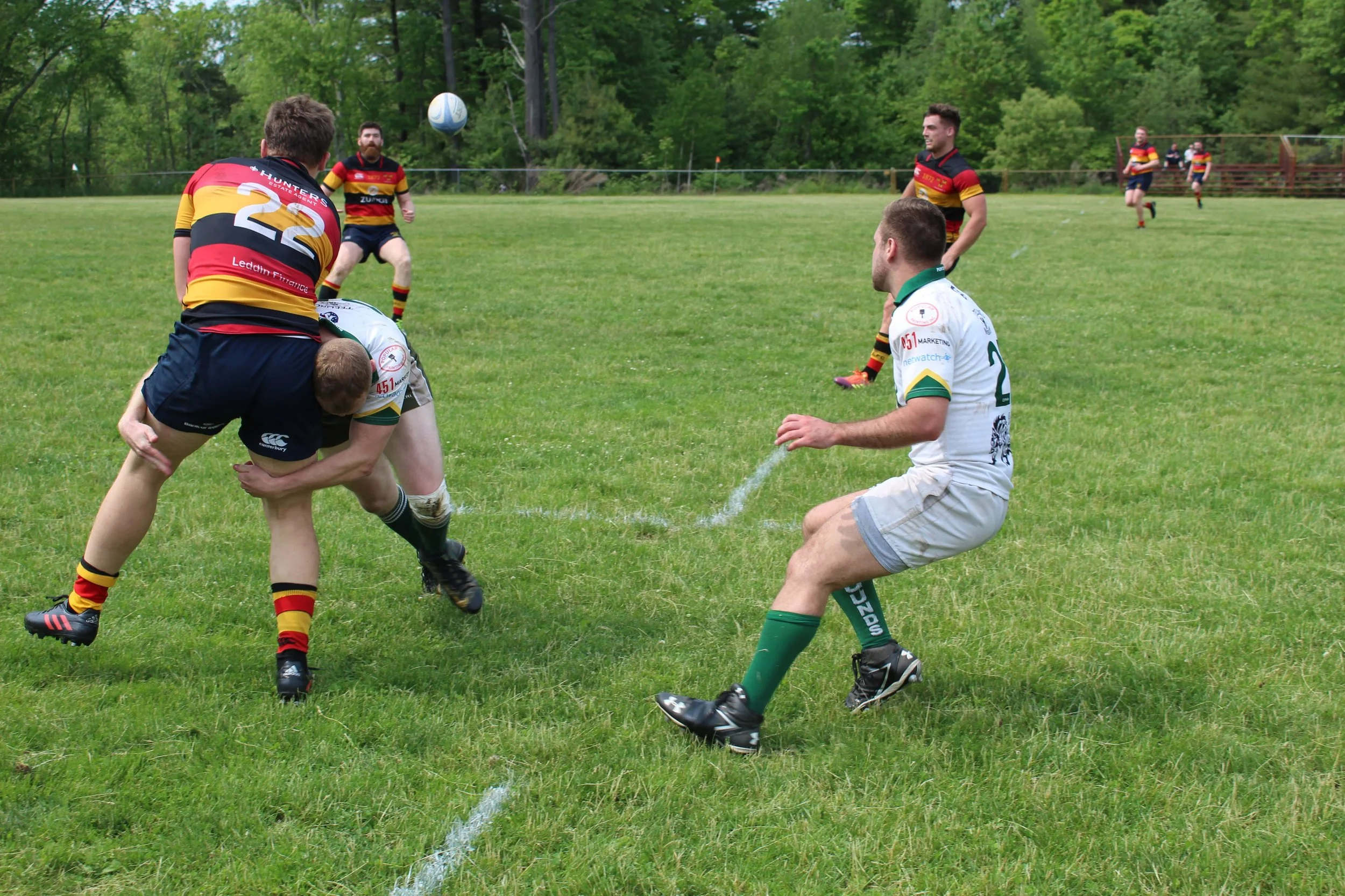 IMG_4010.jpg