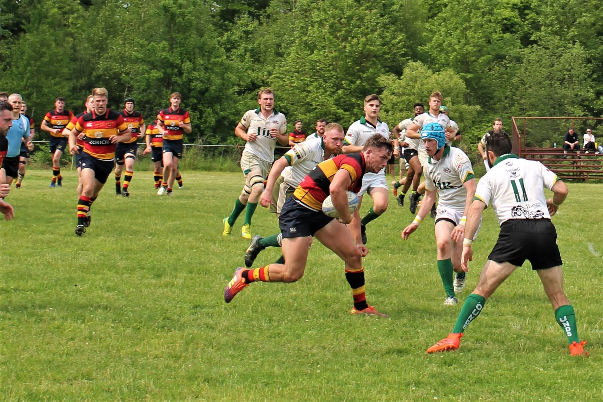 IMG_4023.jpg
