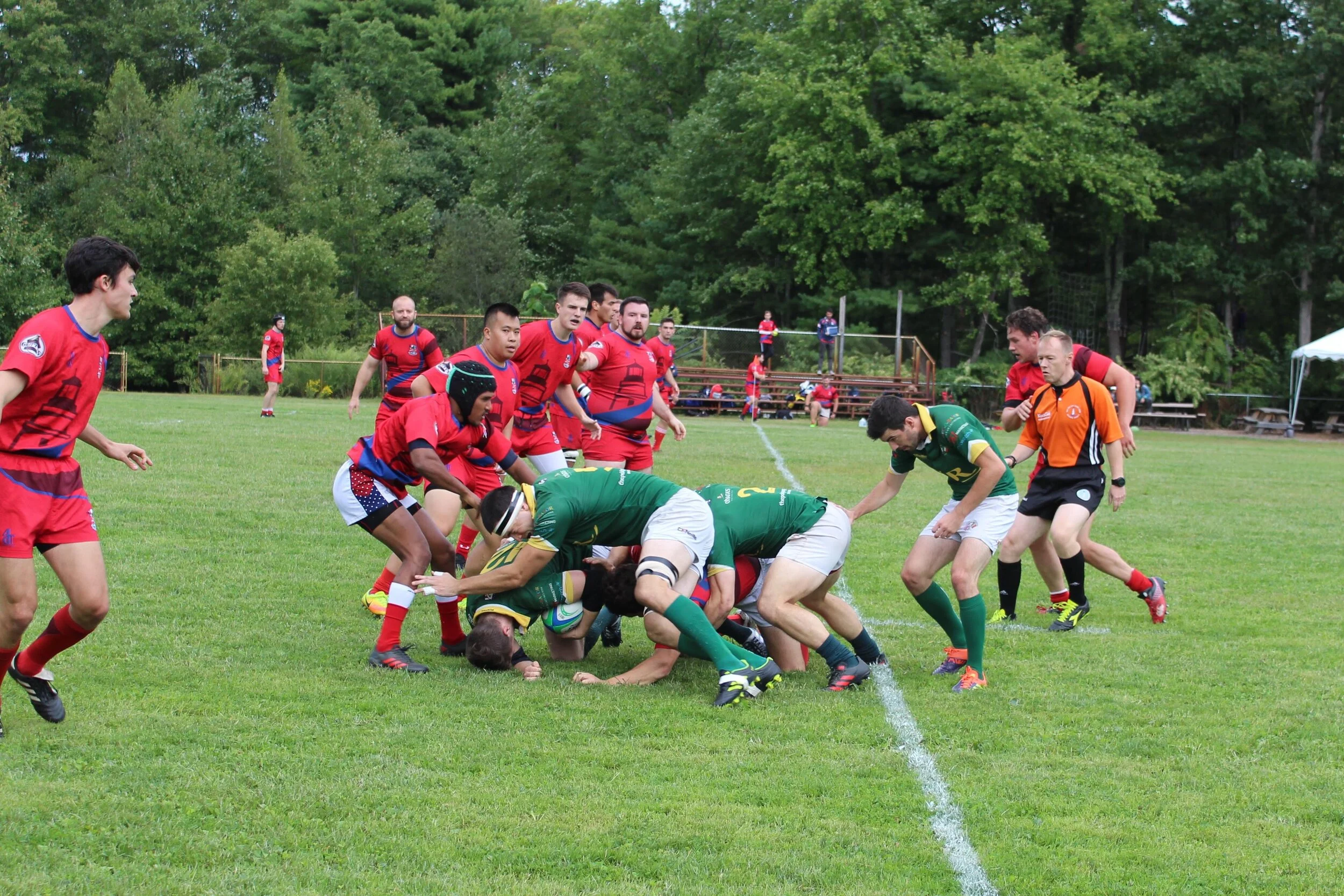 IMG_4420.jpg