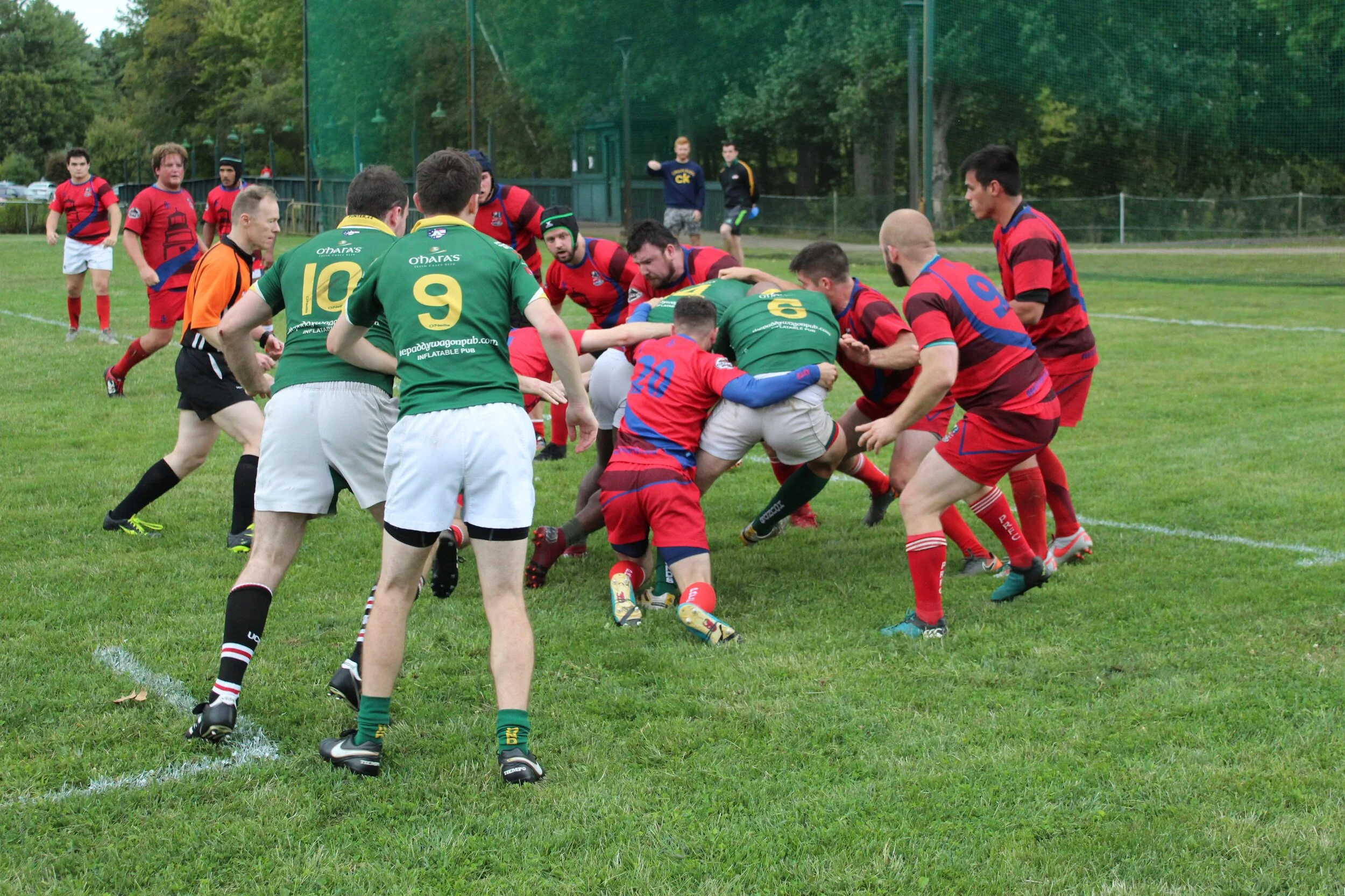 IMG_4499.jpg