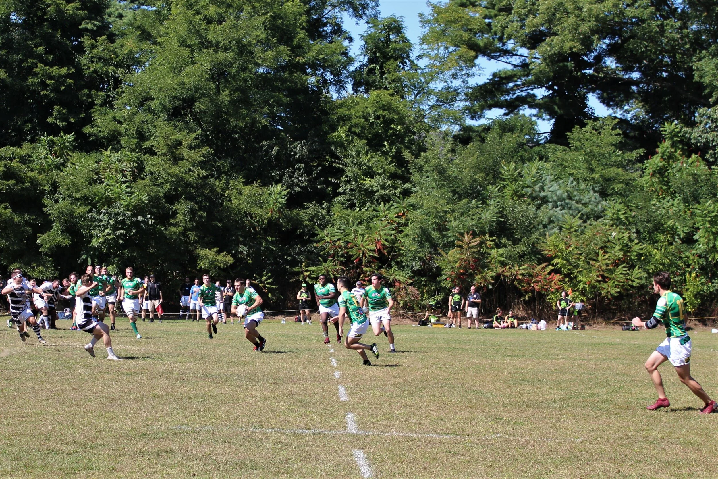 IMG_4514.jpg