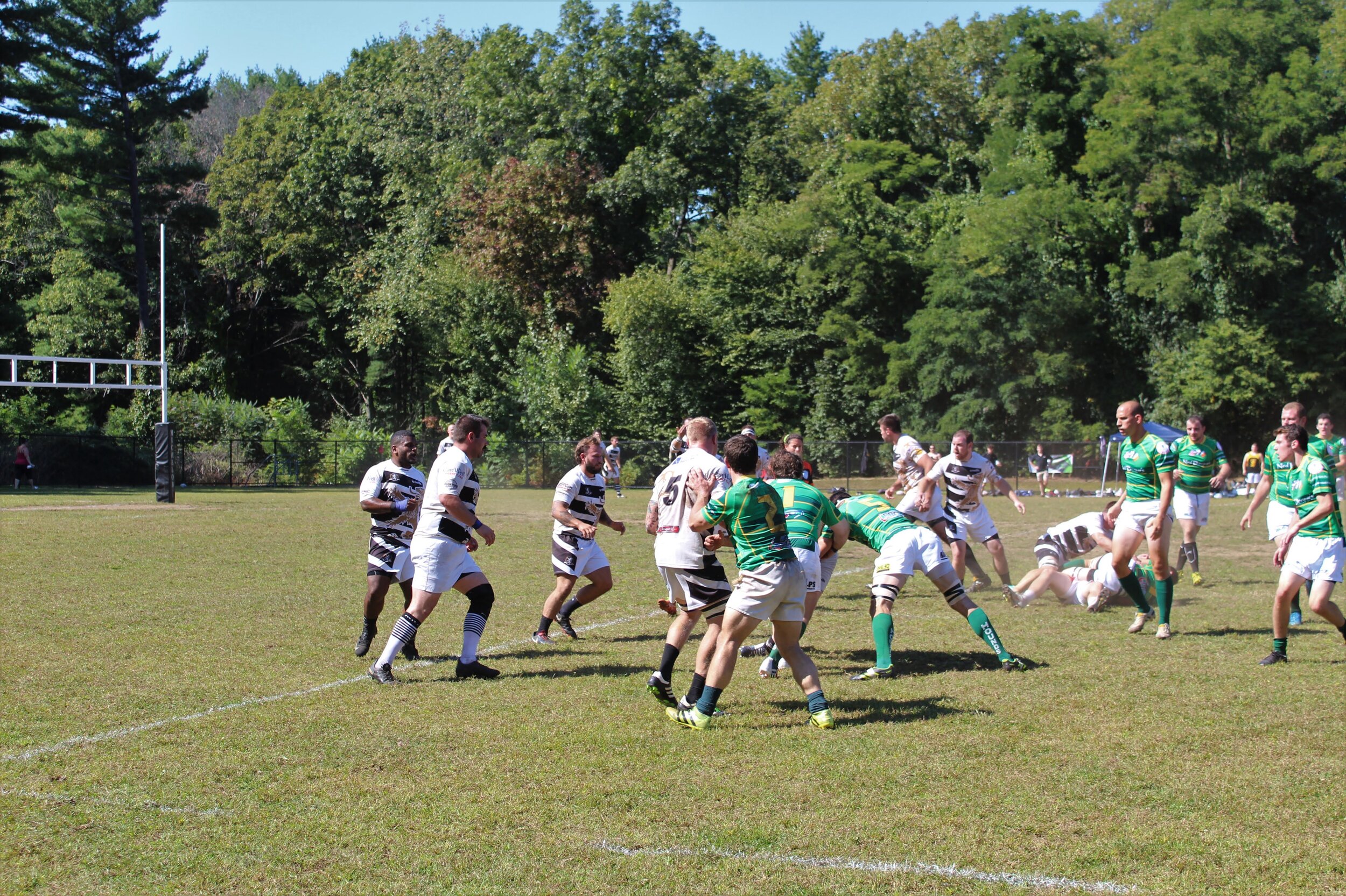 IMG_4528.jpg