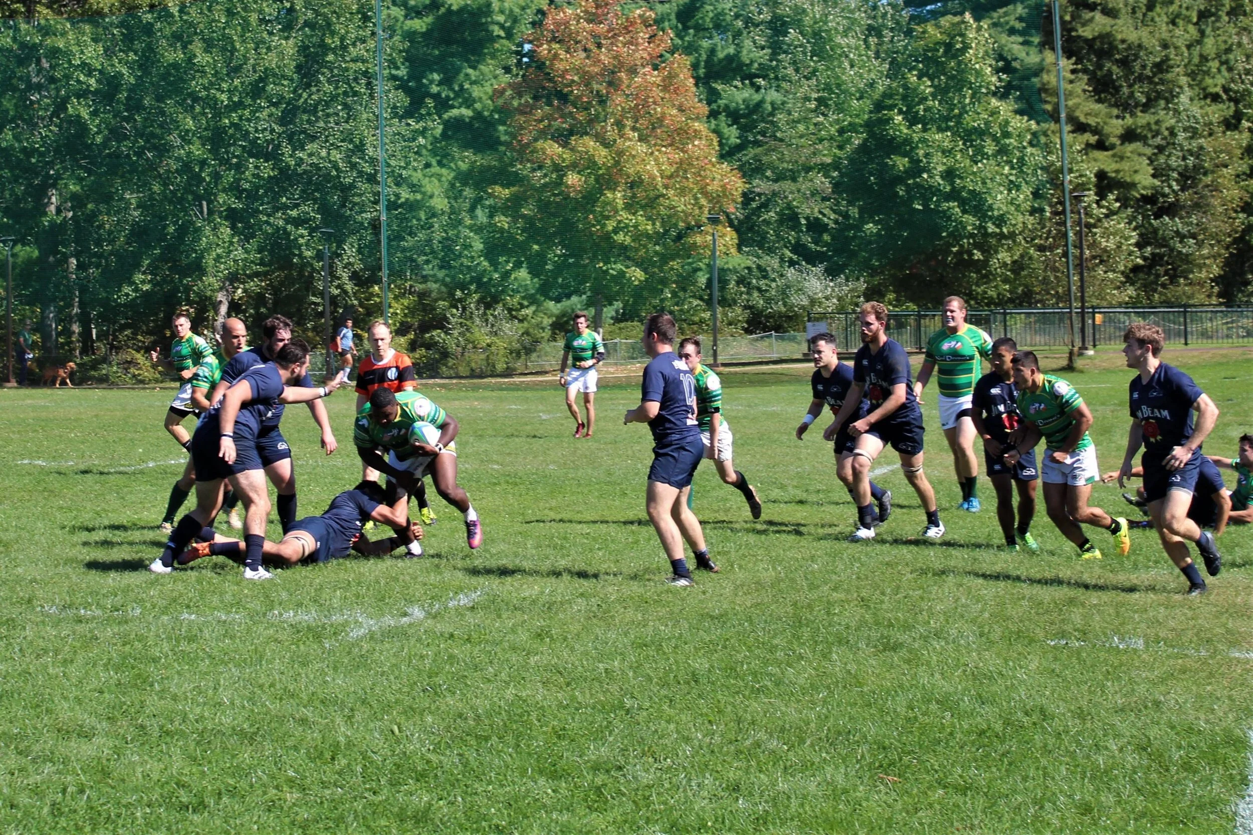IMG_4649.jpg