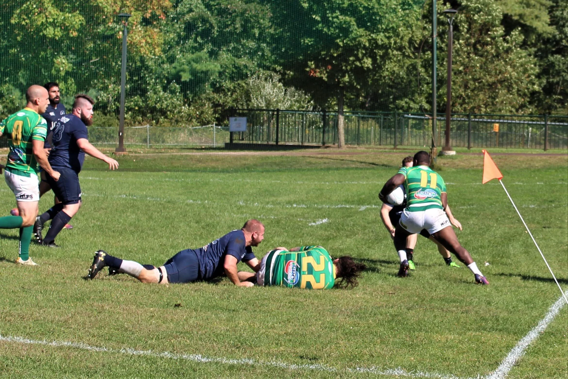 IMG_4704.jpg
