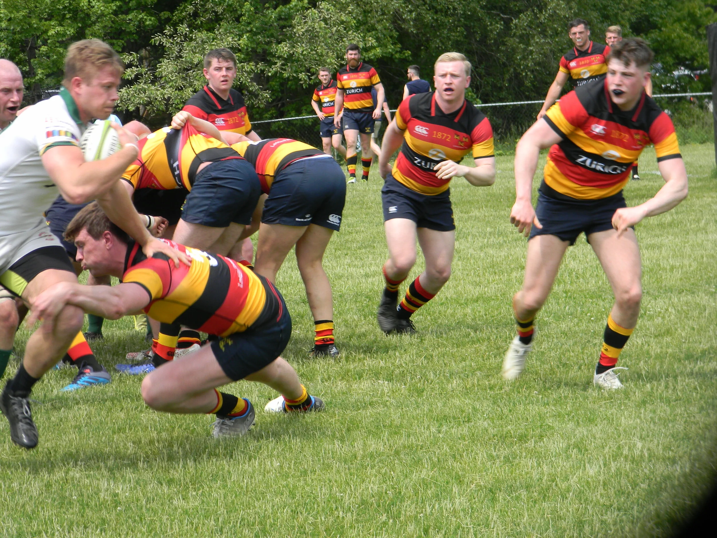 Sergei's Pics 2016-2019 — Wolfhounds Rugby