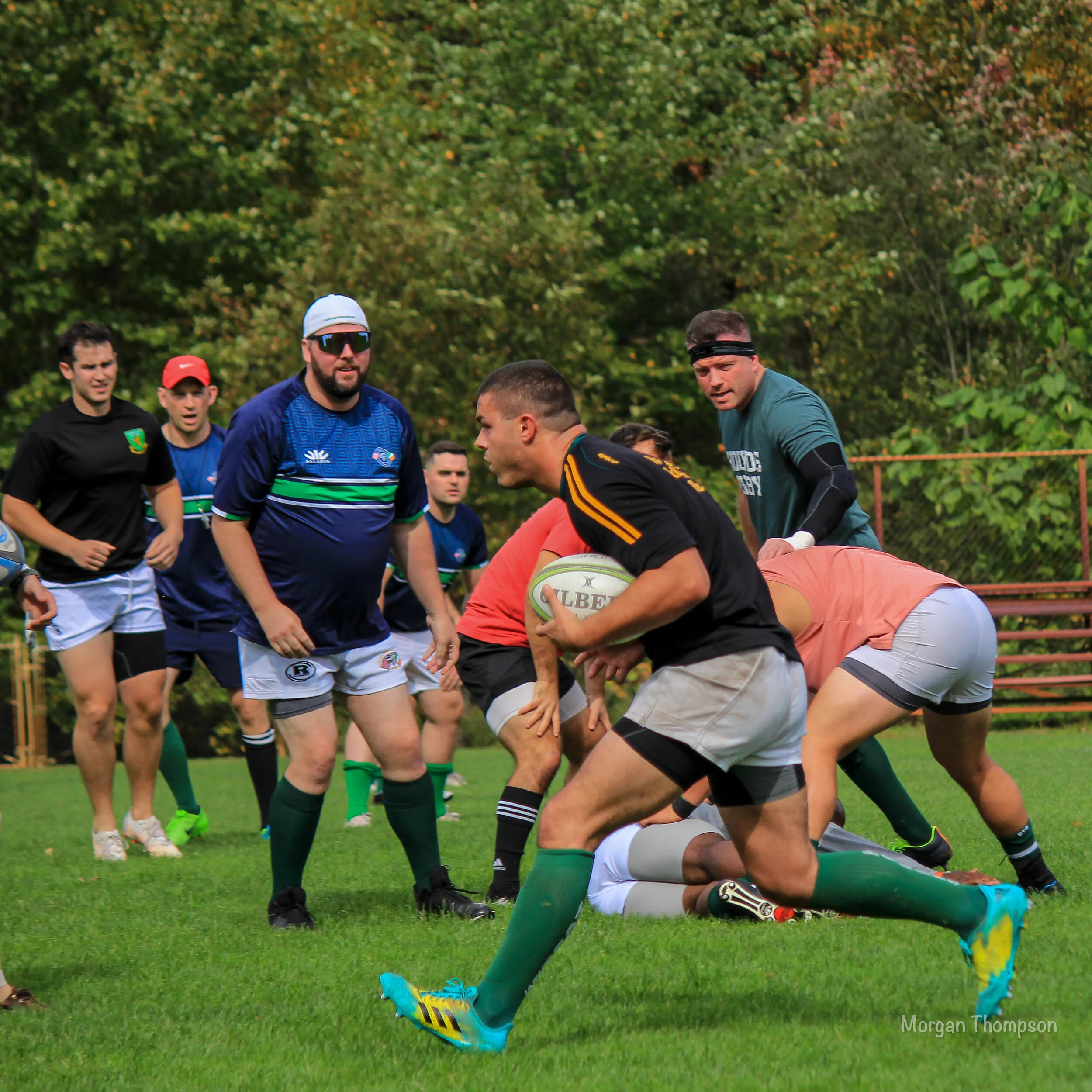 Home Wolfhounds 20211016-09.JPG